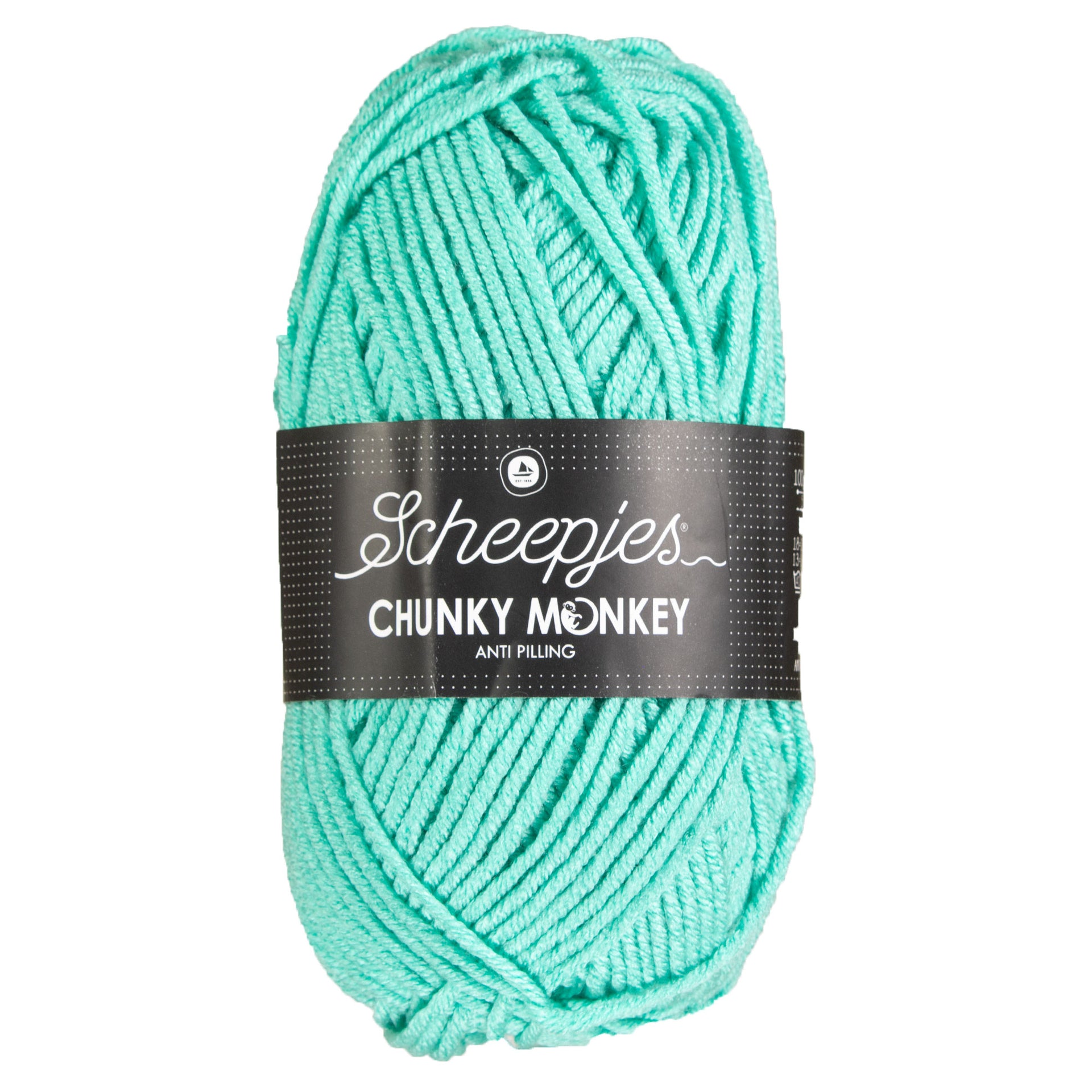 Scheepjes Chunky Monkey Yarn - 1422 Aqua - Zoom Image
