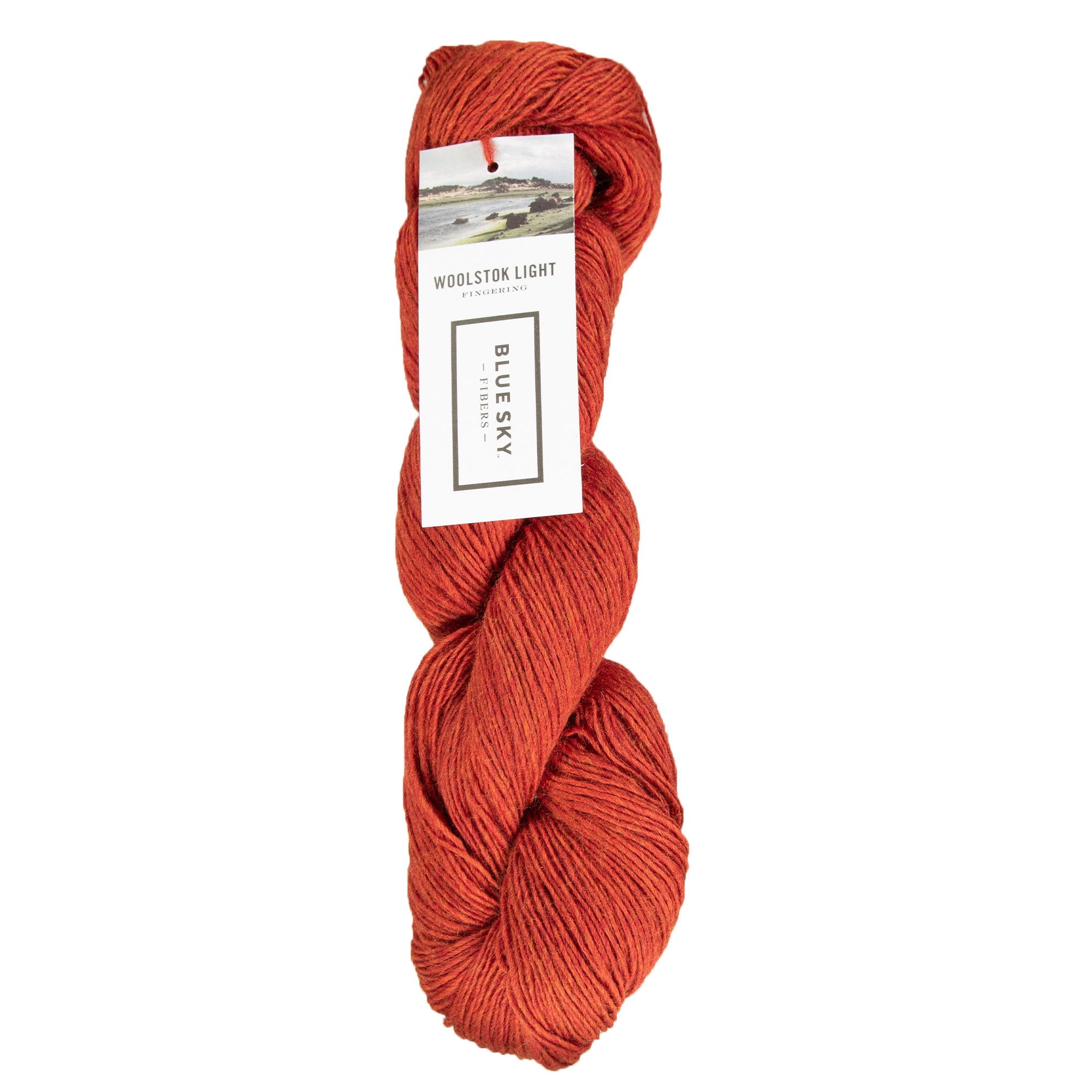 Blue Sky Fibers Woolstok Light Yarn - 2311 Rusted Roof - Zoom Image