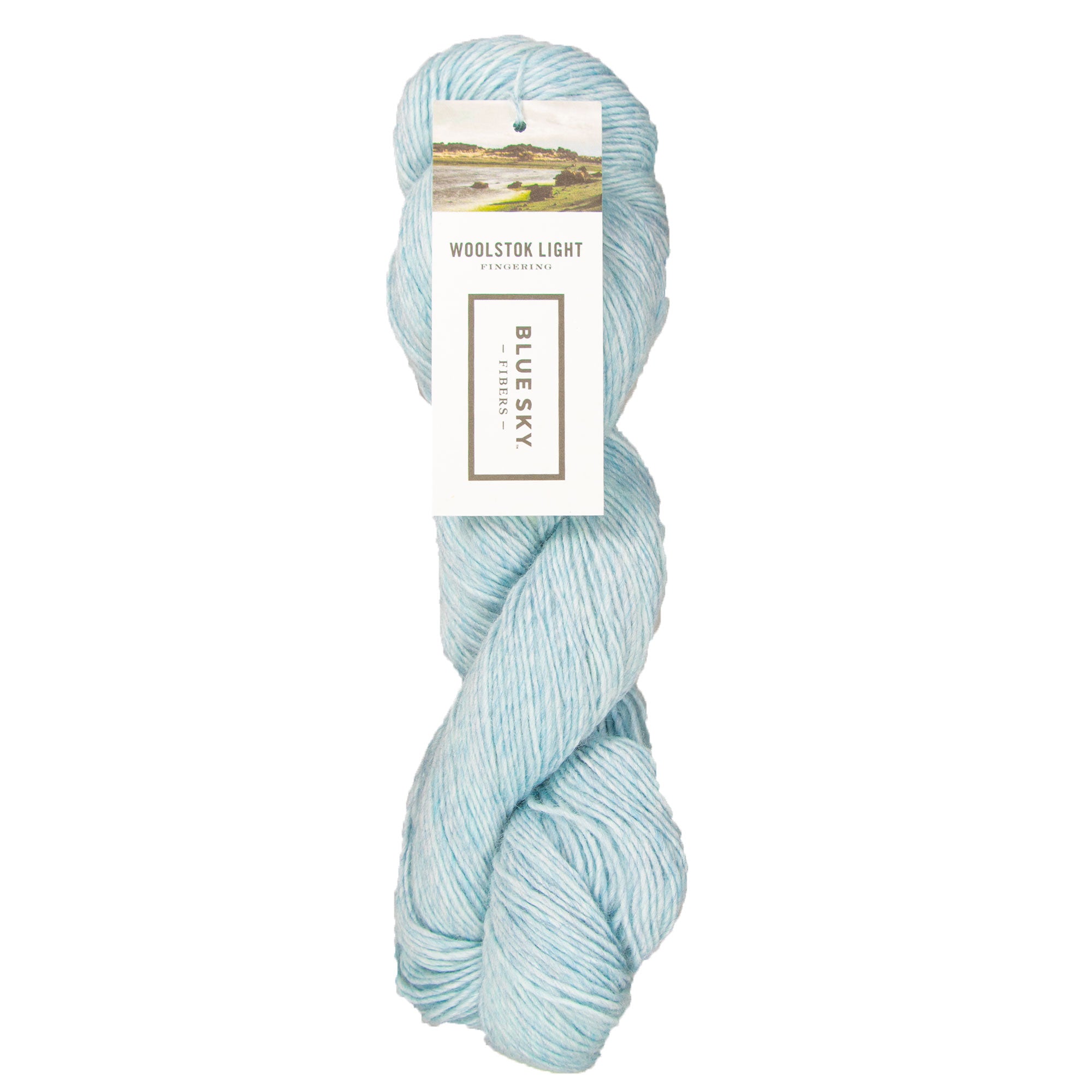 Blue Sky Fibers Woolstok Light Yarn - 2318 Thermal Spring - Zoom Image