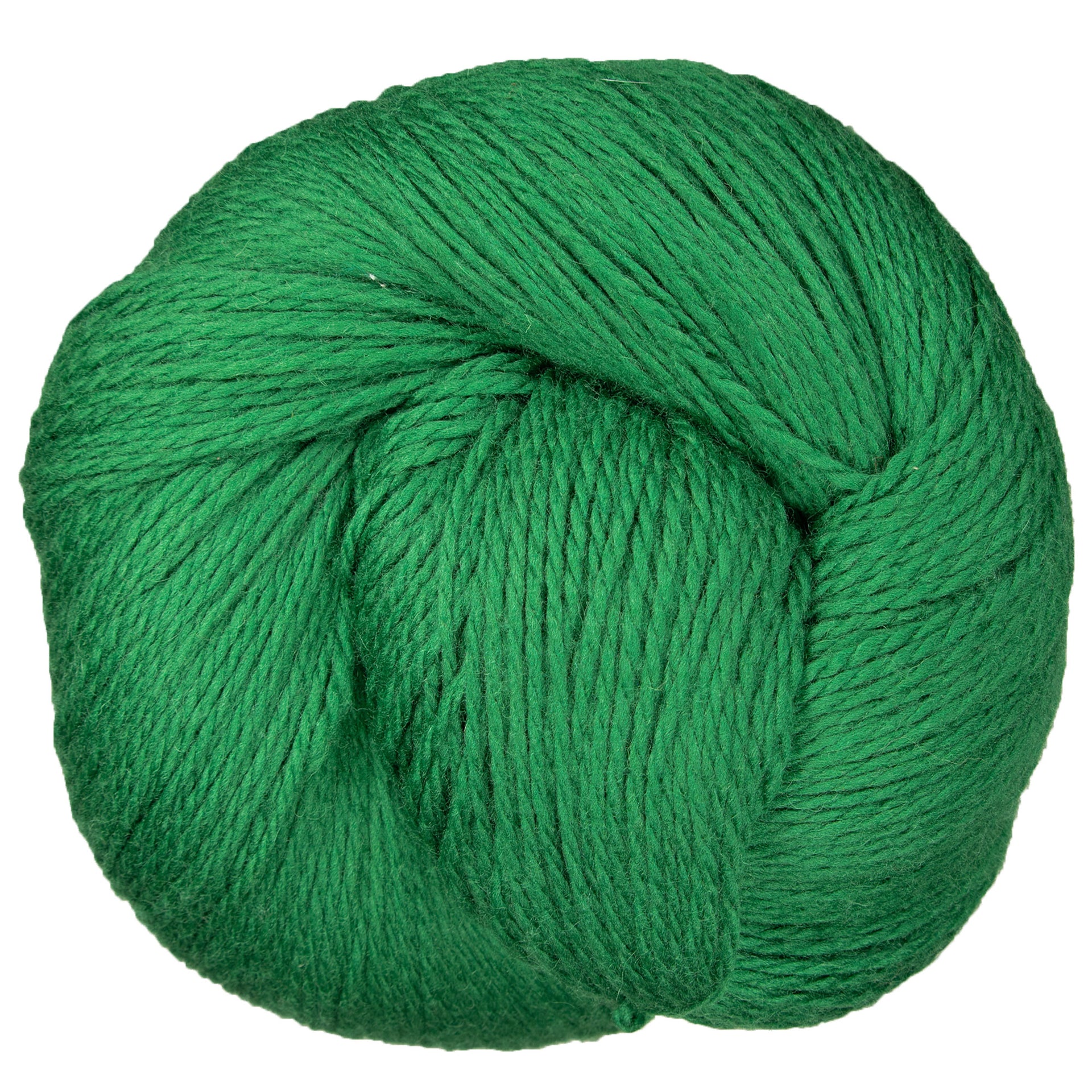 Cascade Yarns Eco+ Yarn - 3119 Verdant Green - Zoom Image
