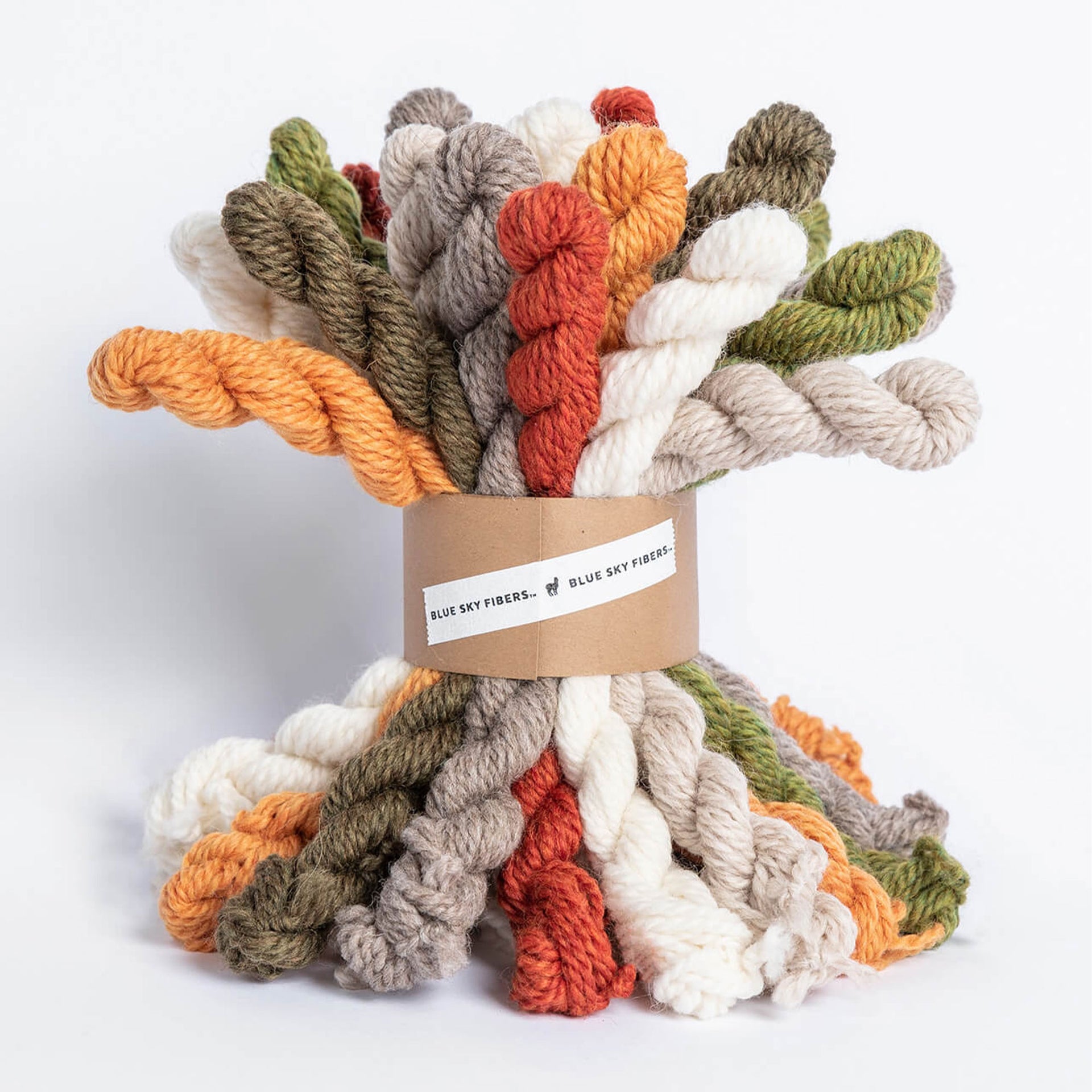 Blue Sky Fibers Woolstok Bundles Yarn - Fall Festival - Zoom Image

