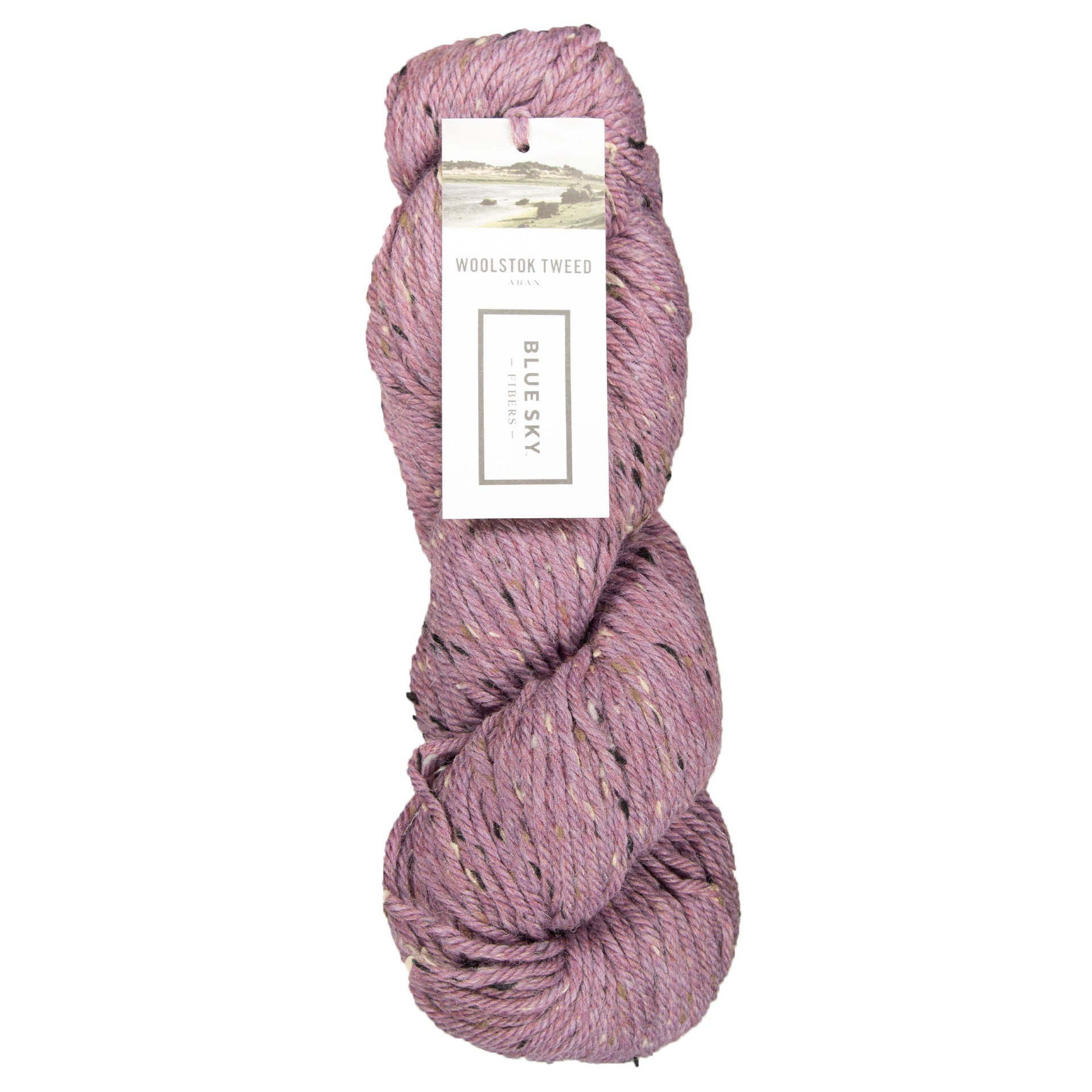 Blue Sky Fibers Woolstok Tweed (Aran) Yarn - 3312 Sage Rose - Zoom Image

