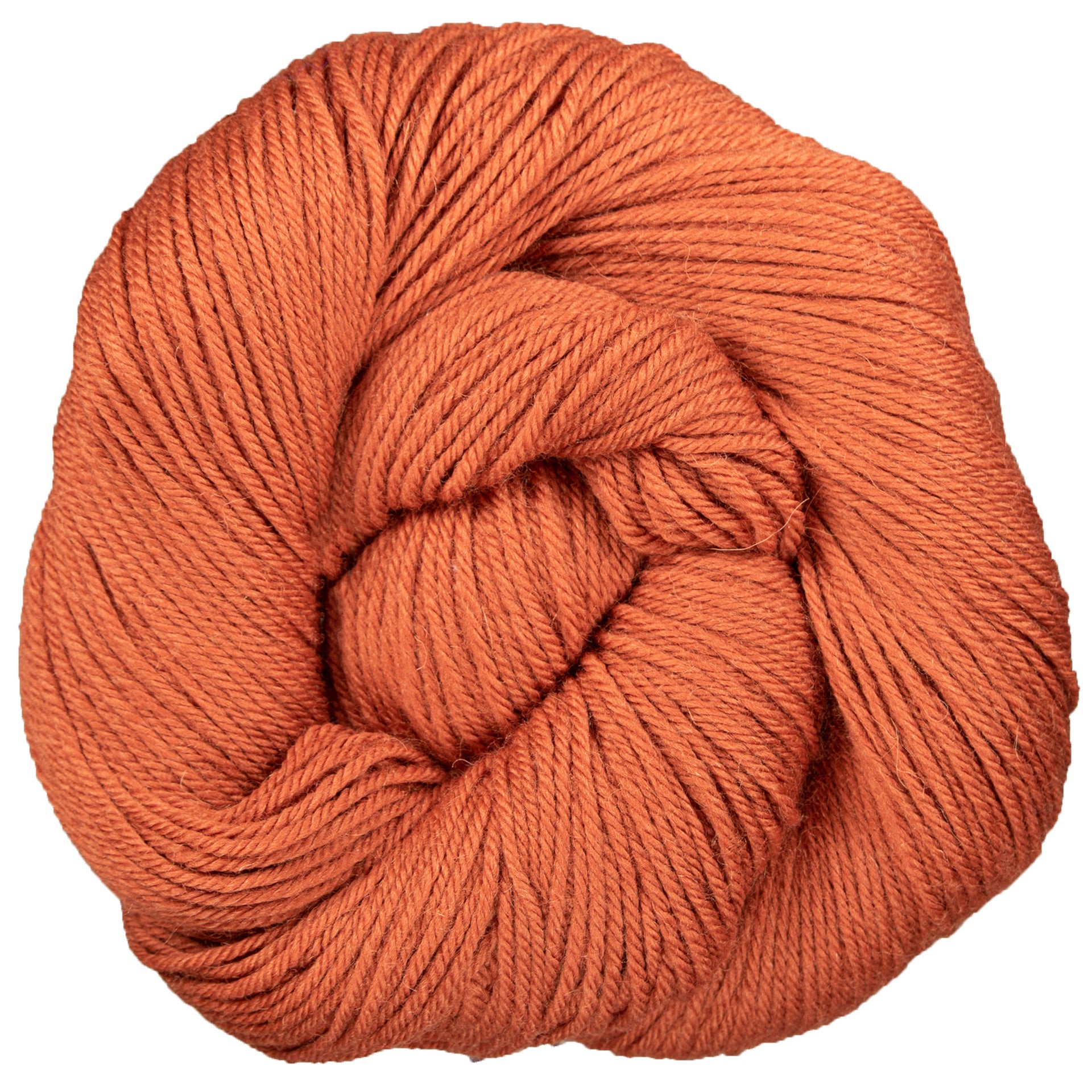 Yarn Citizen Unity Worsted Yarn - Paprika - Zoom Image
