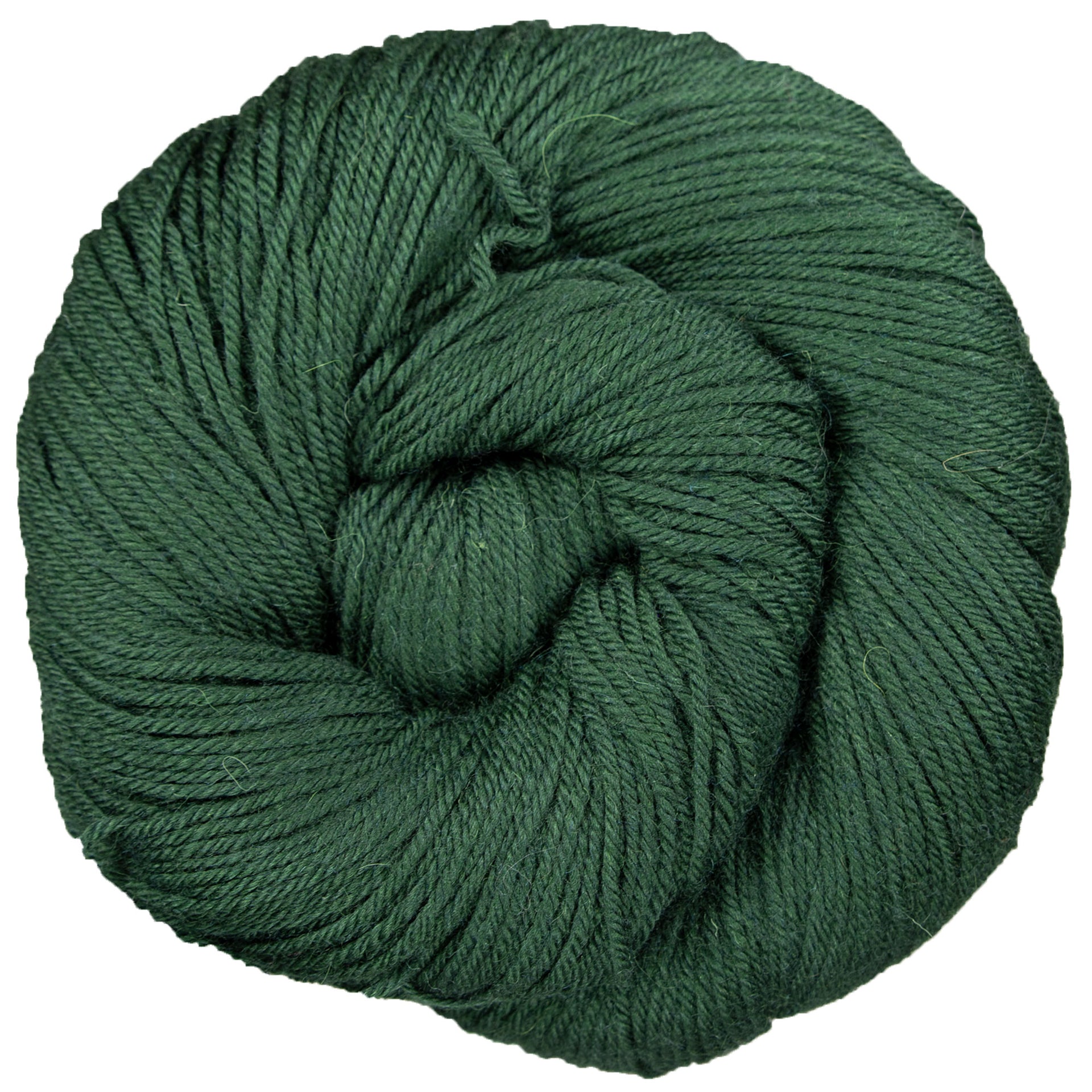 Yarn Citizen Unity Worsted Yarn - Bristlecone - Zoom Image
