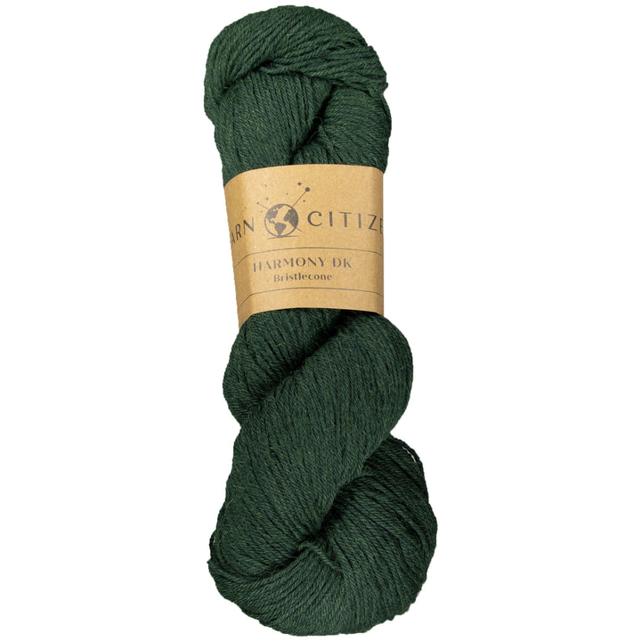 Yarn Citizen Harmony DK Yarn - Bristlecone - Zoom Image