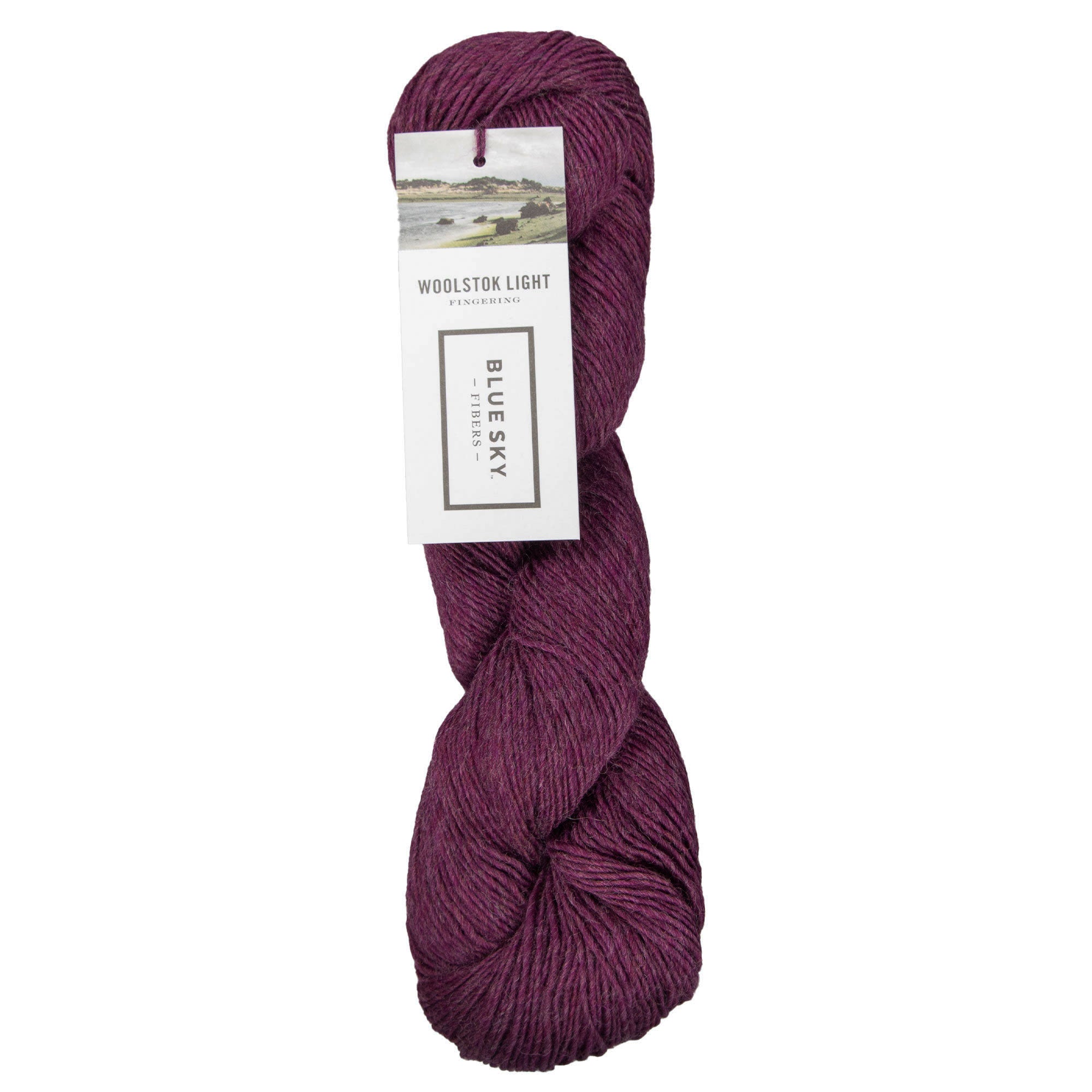 Blue Sky Fibers Woolstok Light Yarn - 2307 Pressed Grapes - Zoom Image