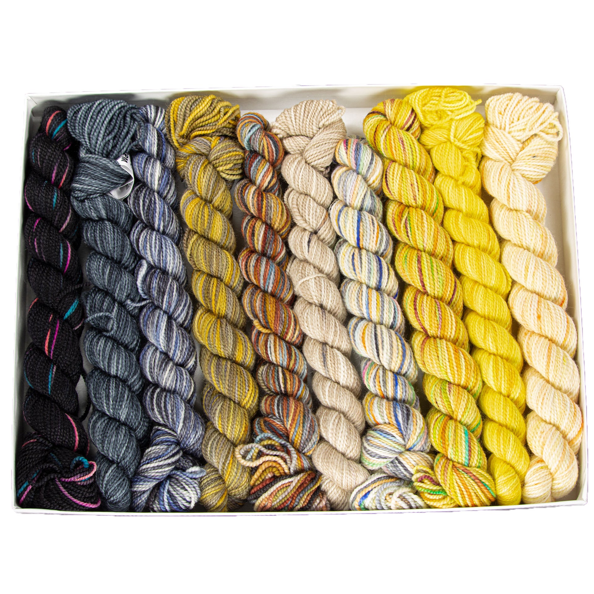 Koigu Pencil Box Yarn - Side Road - Zoom Image
