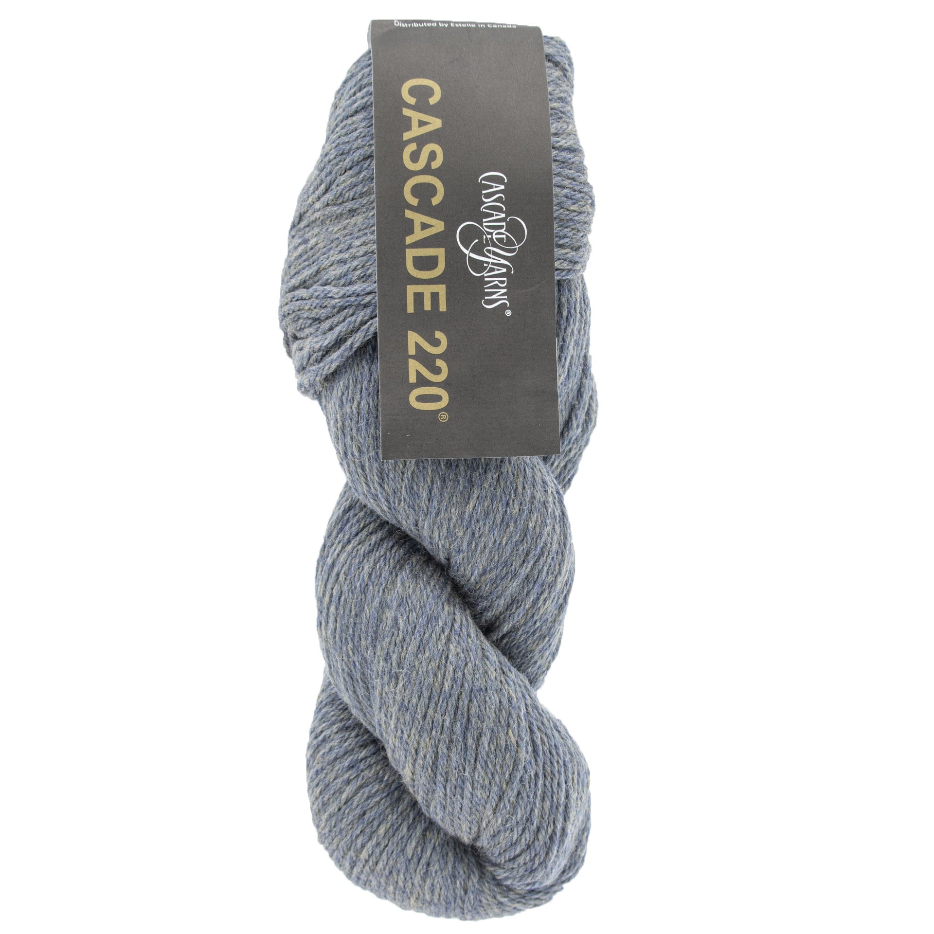 Cascade 220 Yarn - 1081 Coast Heather - Zoom Image
