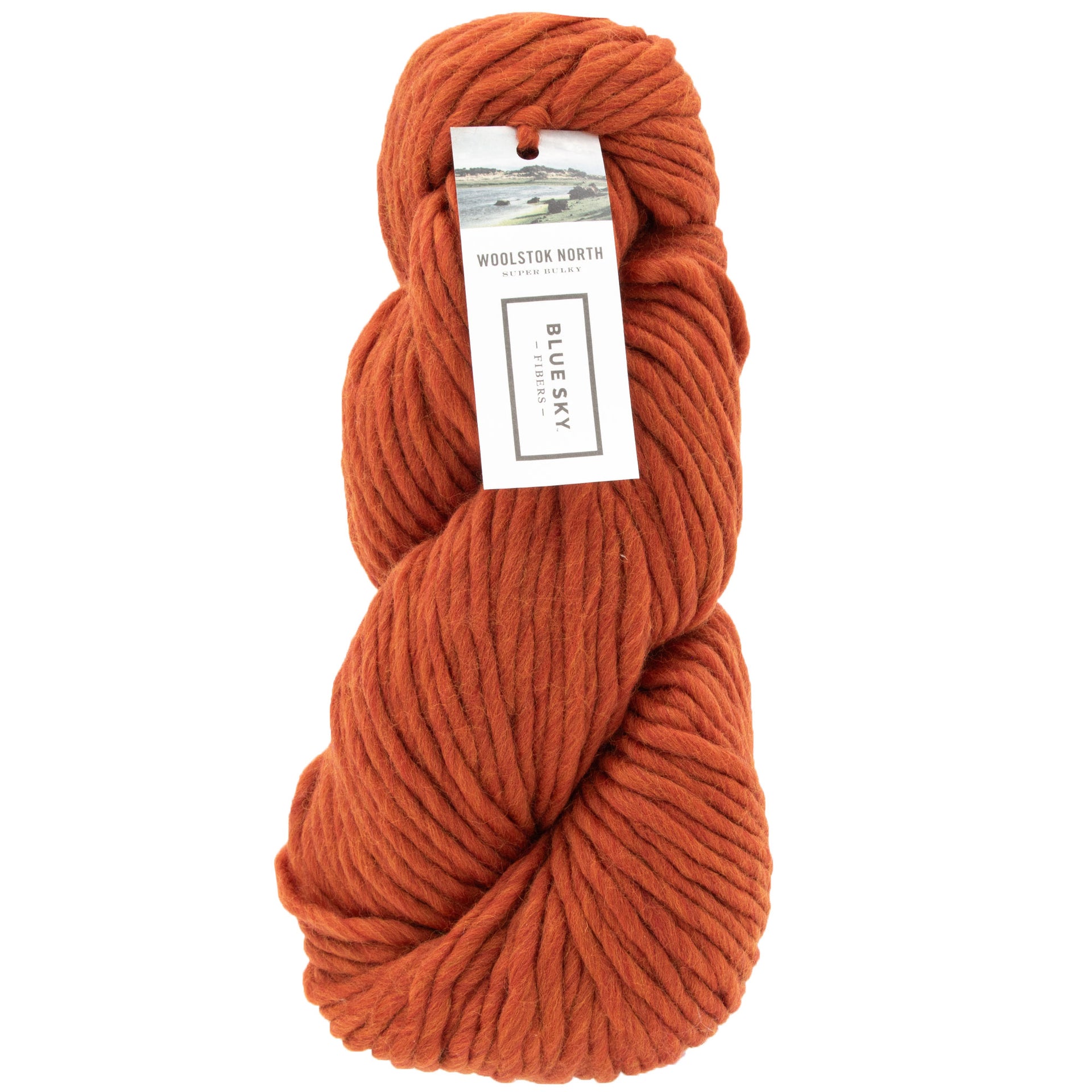 Blue Sky Fibers Woolstok North Yarn - 4311 Rusted Roof - Zoom Image
