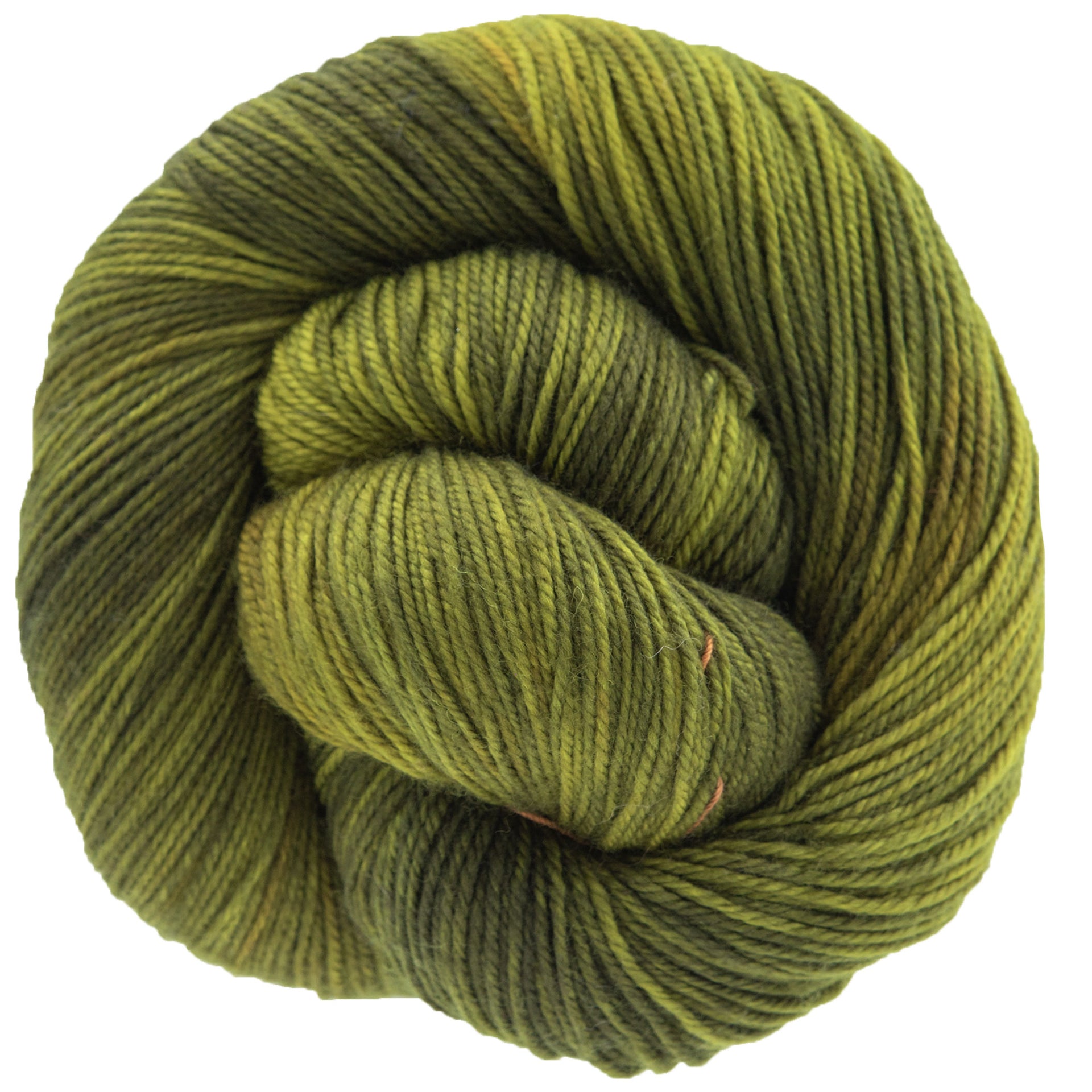Dream in Color Smooshy Yarn - Scorched Lime - Zoom Image
