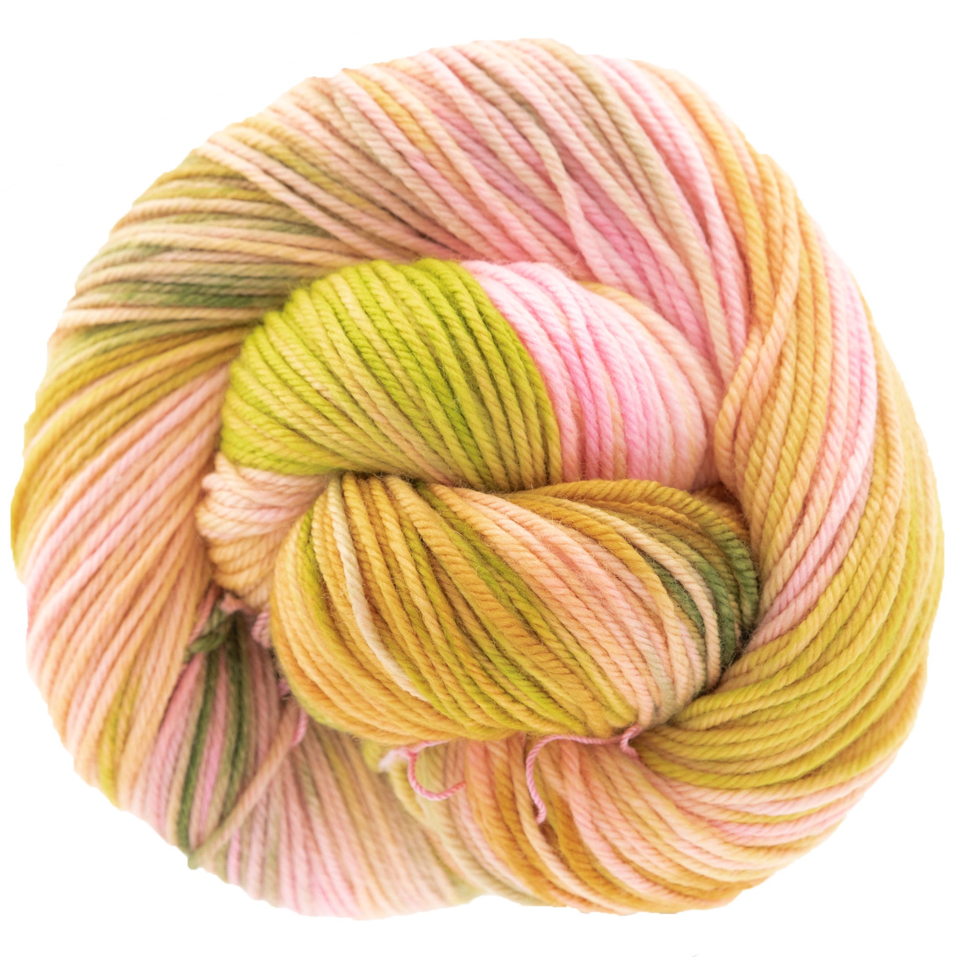 Dream in Color Classy Yarn - Guava Nice Day - Zoom Image
