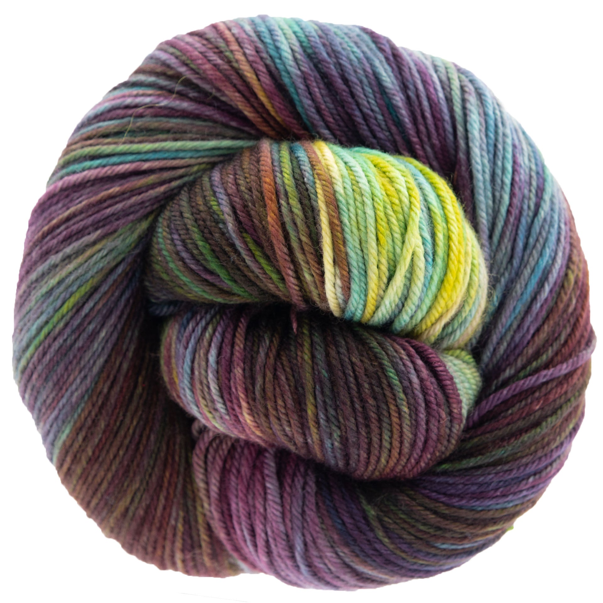 Dream in Color Classy Yarn - Secret Garden - Zoom Image
