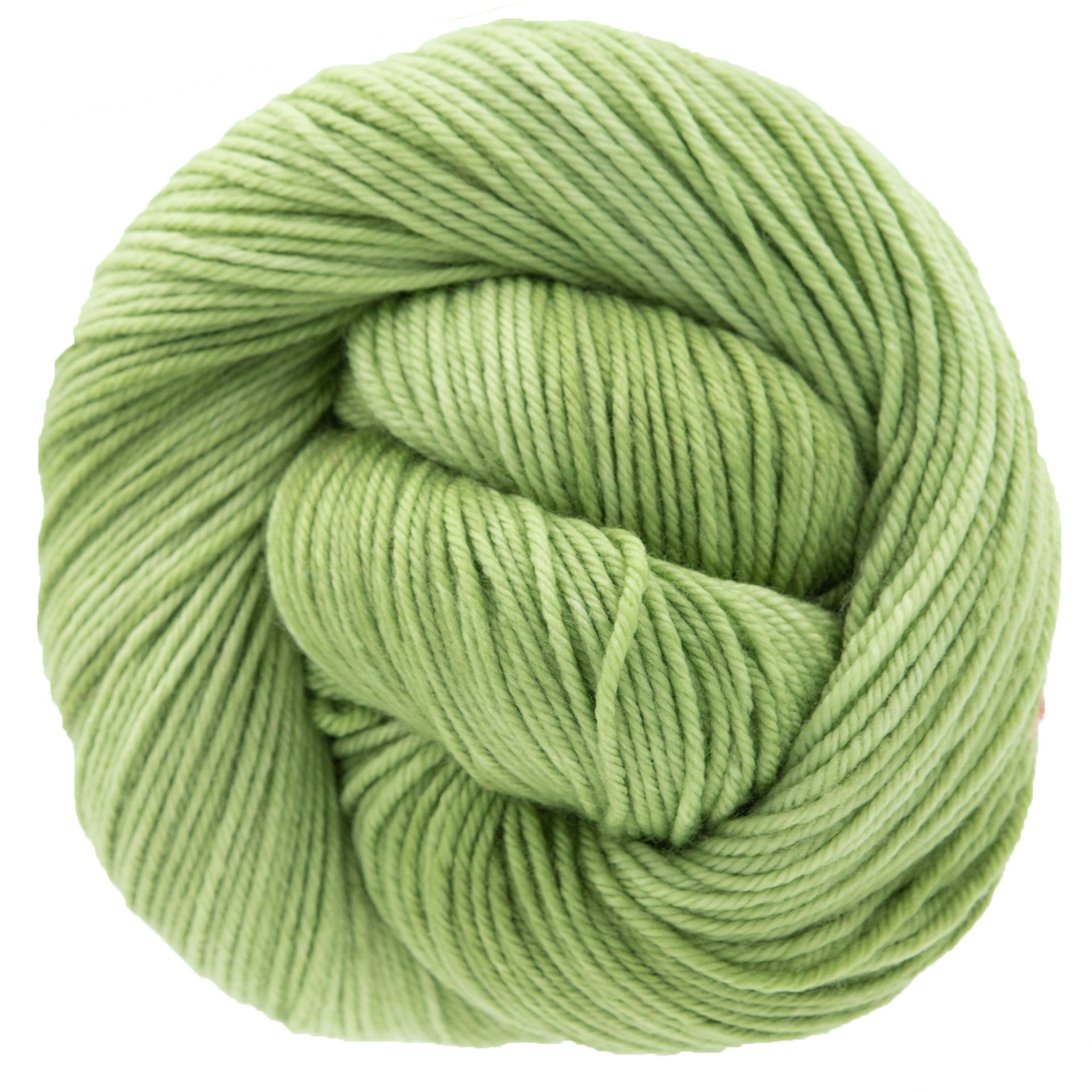 Dream in Color Classy Yarn - Sprout - Zoom Image
