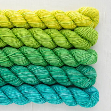 SweetGeorgia Tough Love Sock Party of Five Mini-Skein Set Yarn - Picnic in the Park - Zoom Image
