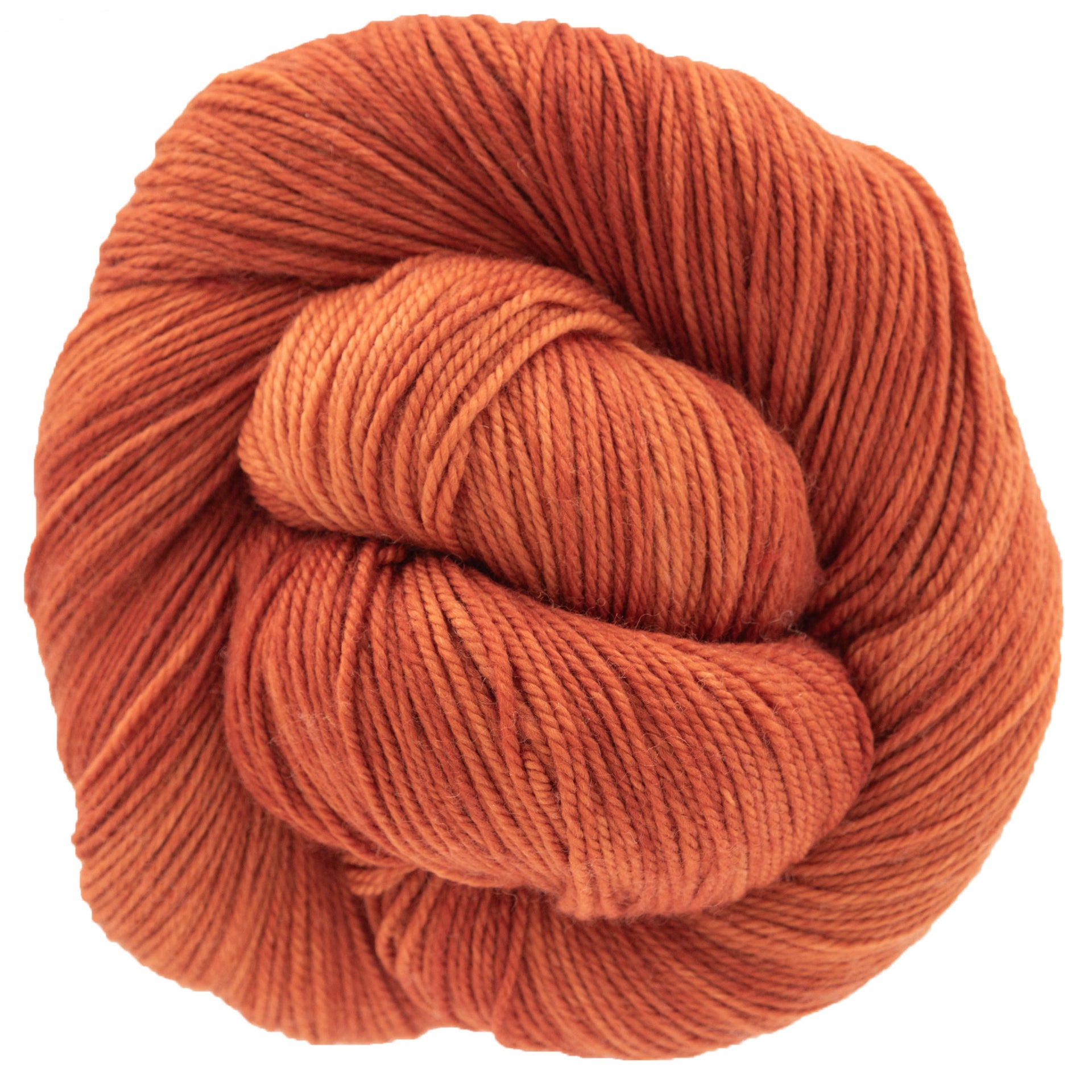 Dream in Color Smooshy Yak Yarn - Tex Mex - Zoom Image
