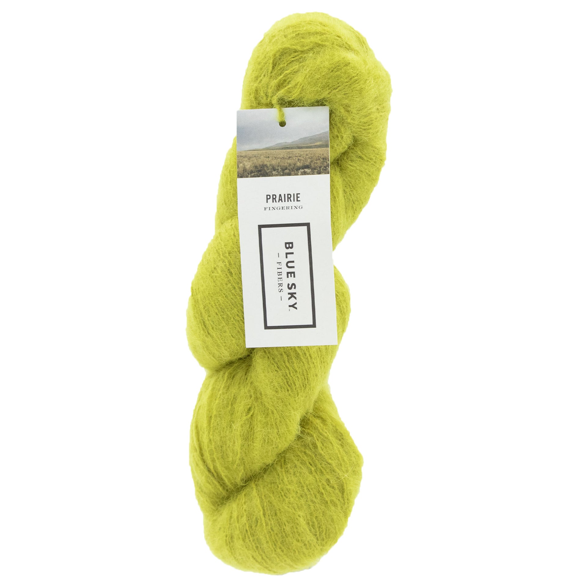 Blue Sky Fibers Prairie Yarn - 1109 - Katydid - Zoom Image
