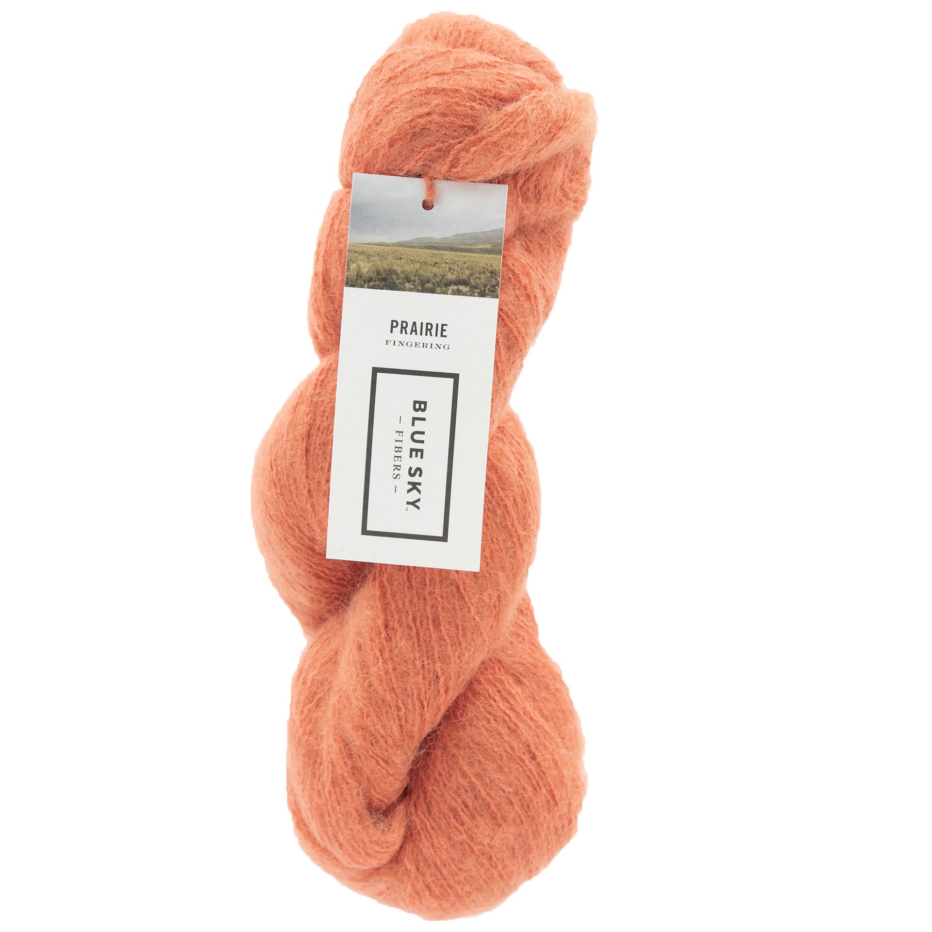 Blue Sky Fibers Prairie Yarn - 1112 - Sedum - Zoom Image
