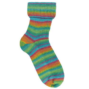 Opal Regenwald: 20th Anniversary Edition Yarn - 9777 Love In The Ghost Train - Zoom Image