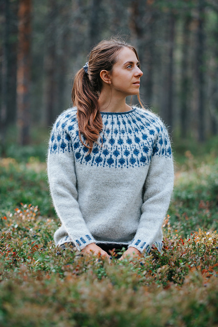 Lopi Blueberry Sweater Kit - Extra Image