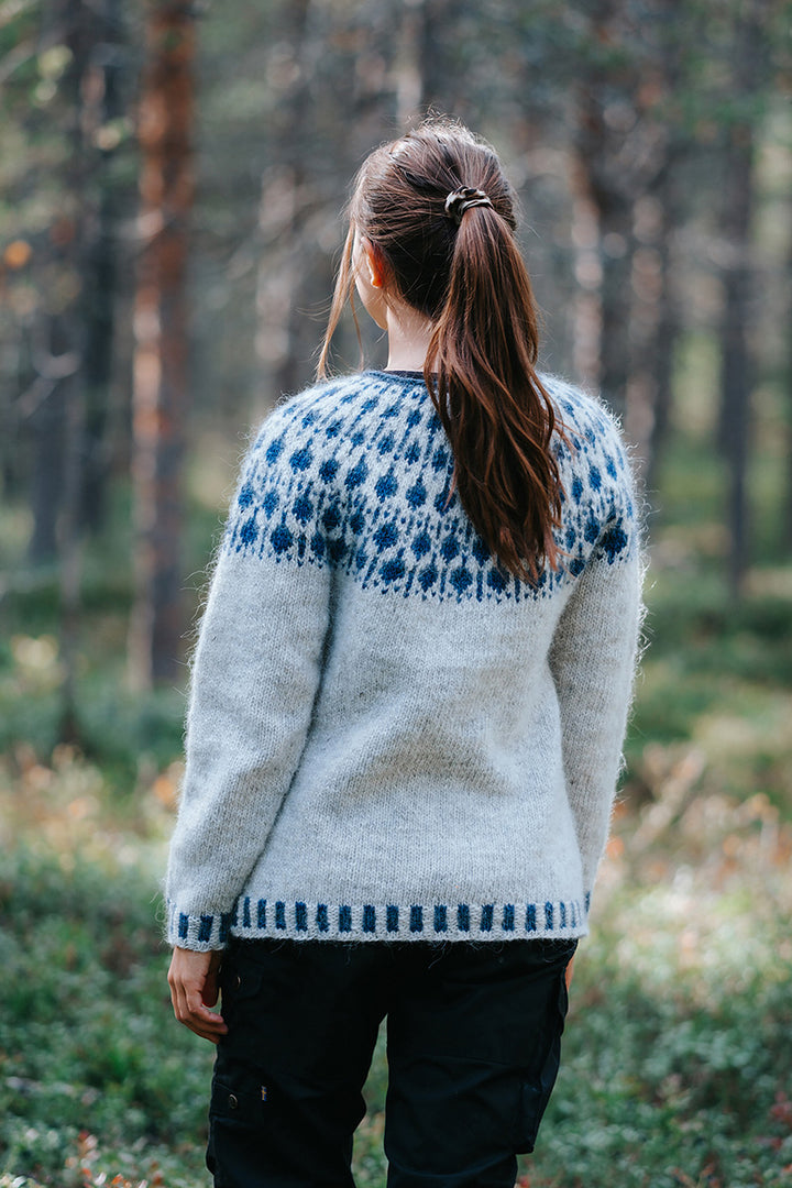 Lopi Blueberry Sweater Kit - Extra Image