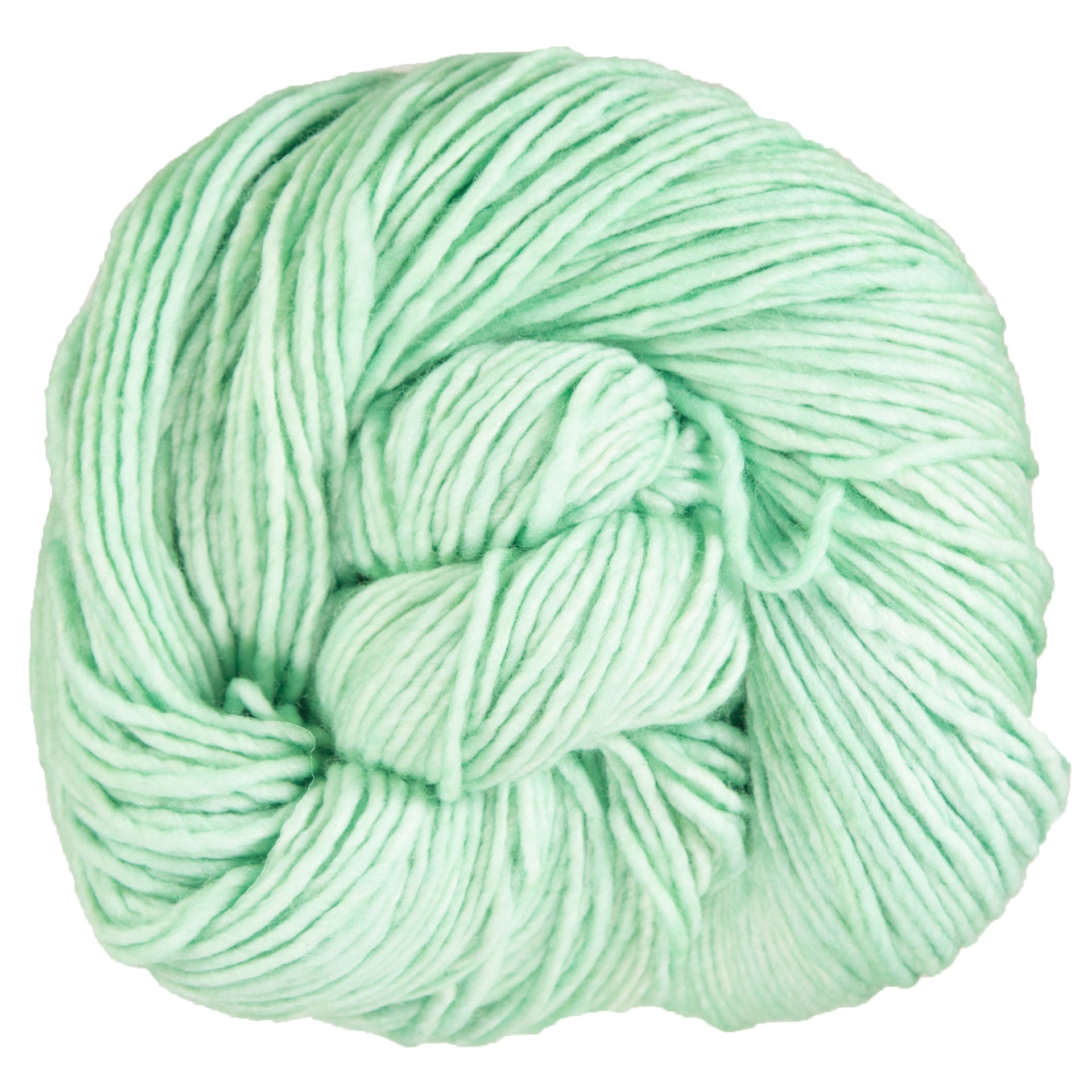Malabrigo Worsted Merino Yarn - 083 Water Green - Zoom Image
