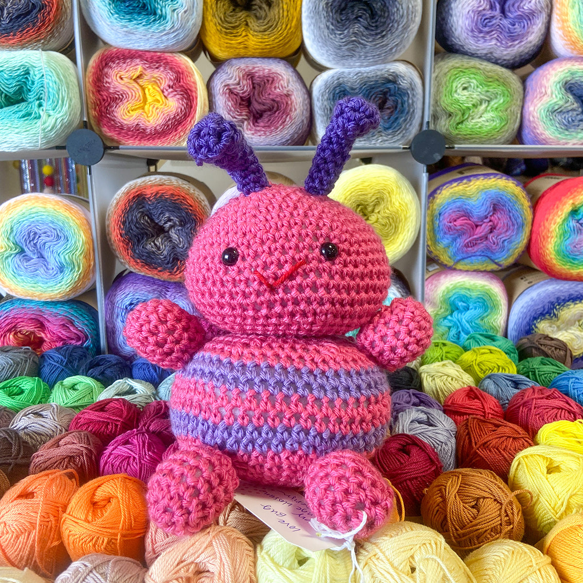 Rayna's Love Bugs and Critters - Main Image 1
