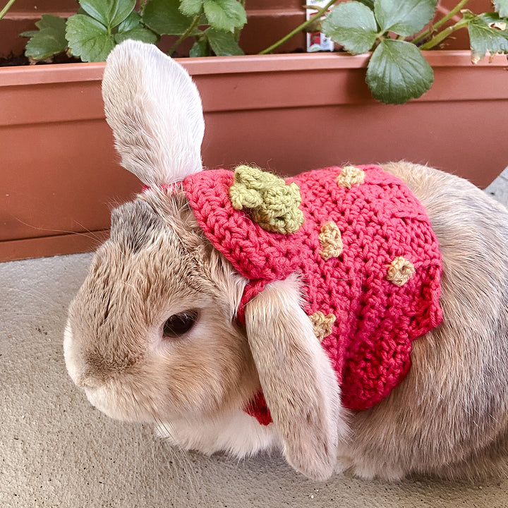 Elizabeth's Strawberry Costume Pet Sweater - Main Image 1