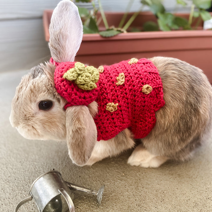 Elizabeth's Strawberry Costume Pet Sweater - Main Image 2