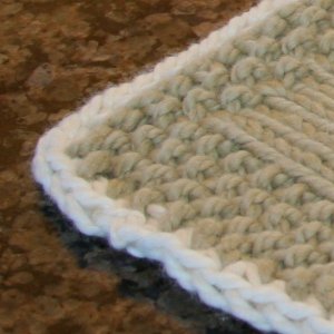 Celebrity Gift Bag Organic Dishcloth - Main Image 2