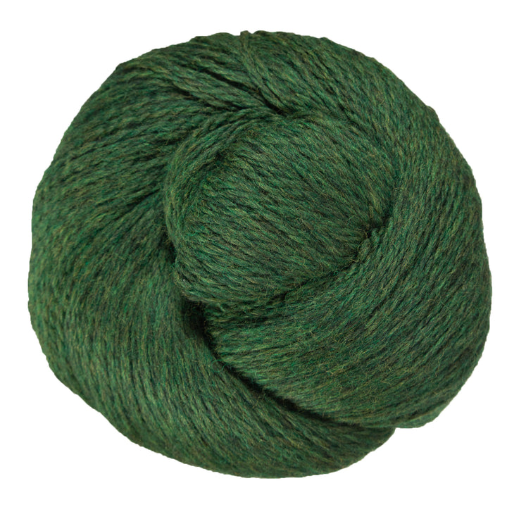 Cascade Yarns Eco+ Yarn - 2445 Shire - Zoom Image