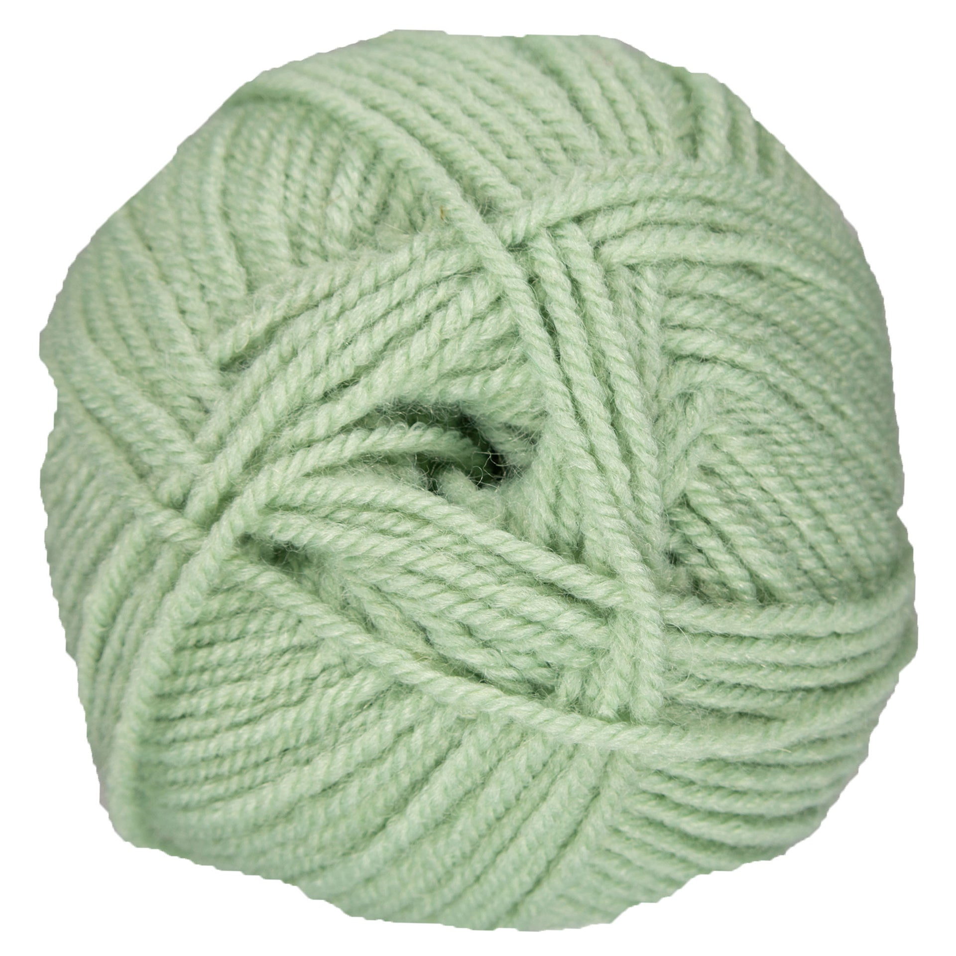 Plymouth Yarn Encore Worsted Yarn - 1231 Pale Greenhouse - Zoom Image
