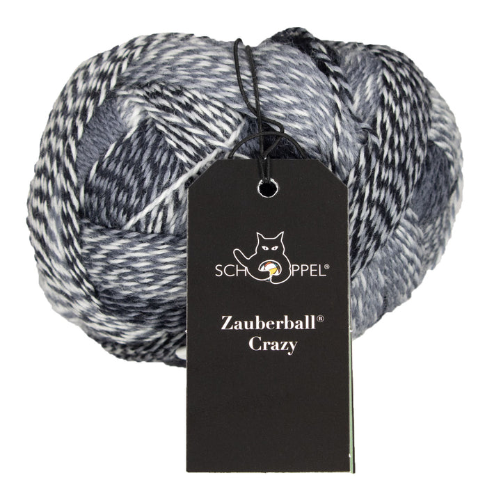 Schoppel Wolle Zauberball Crazy Yarn - 2100 - Extra Image