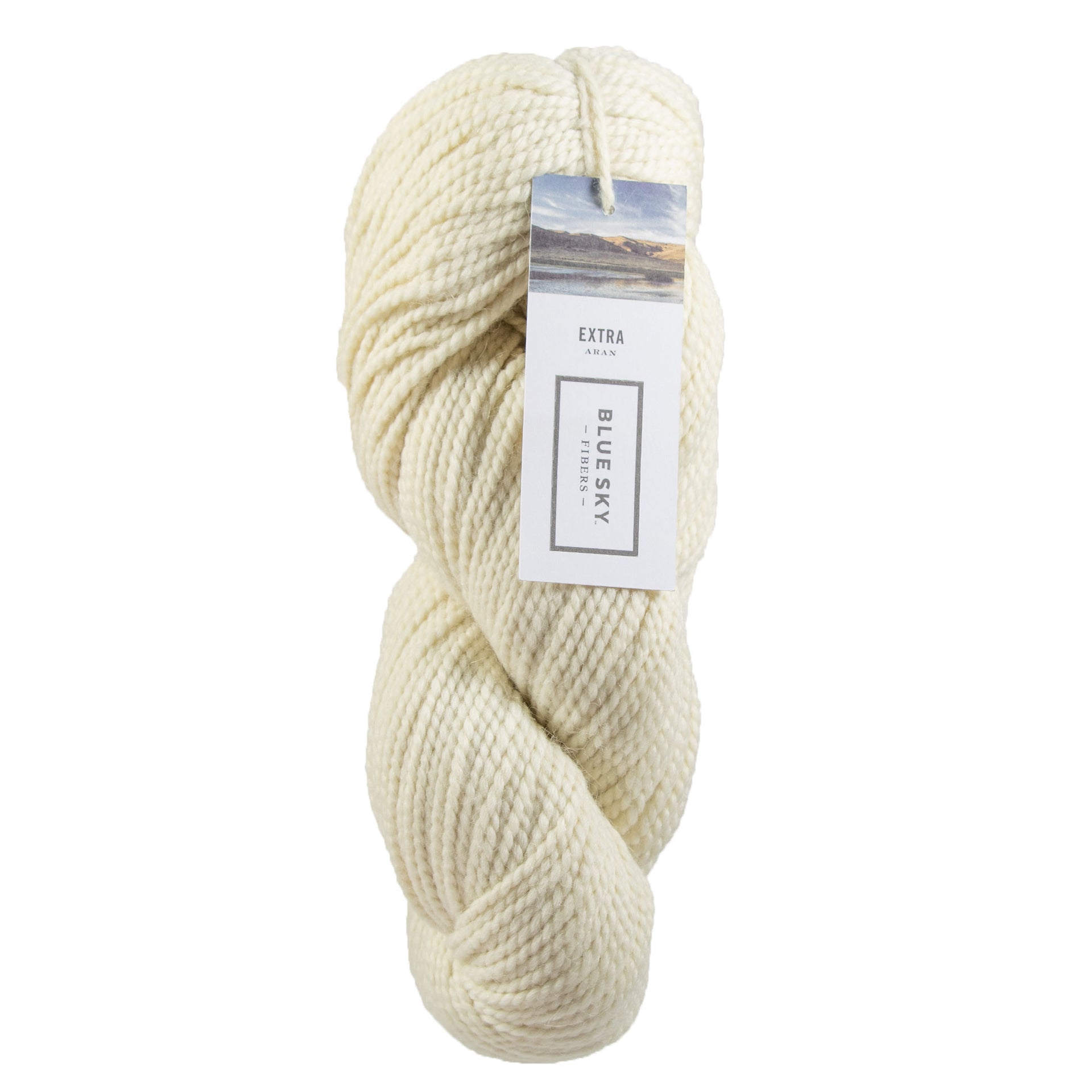 Blue Sky Fibers Extra Yarn - 3510 Butter Cream - Zoom Image
