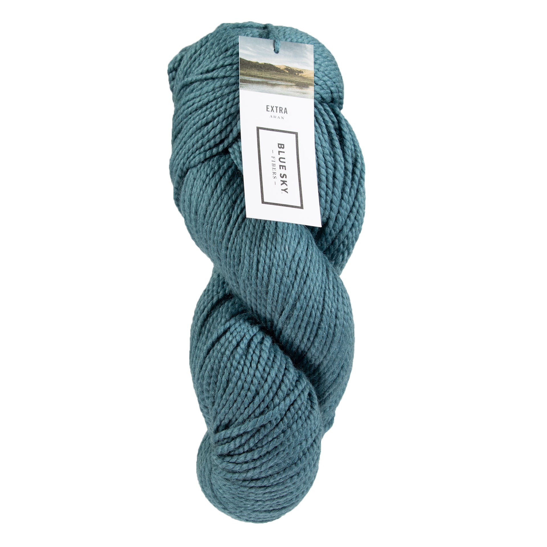 Blue Sky Fibers Extra Yarn - 3516 Still Water - Zoom Image
