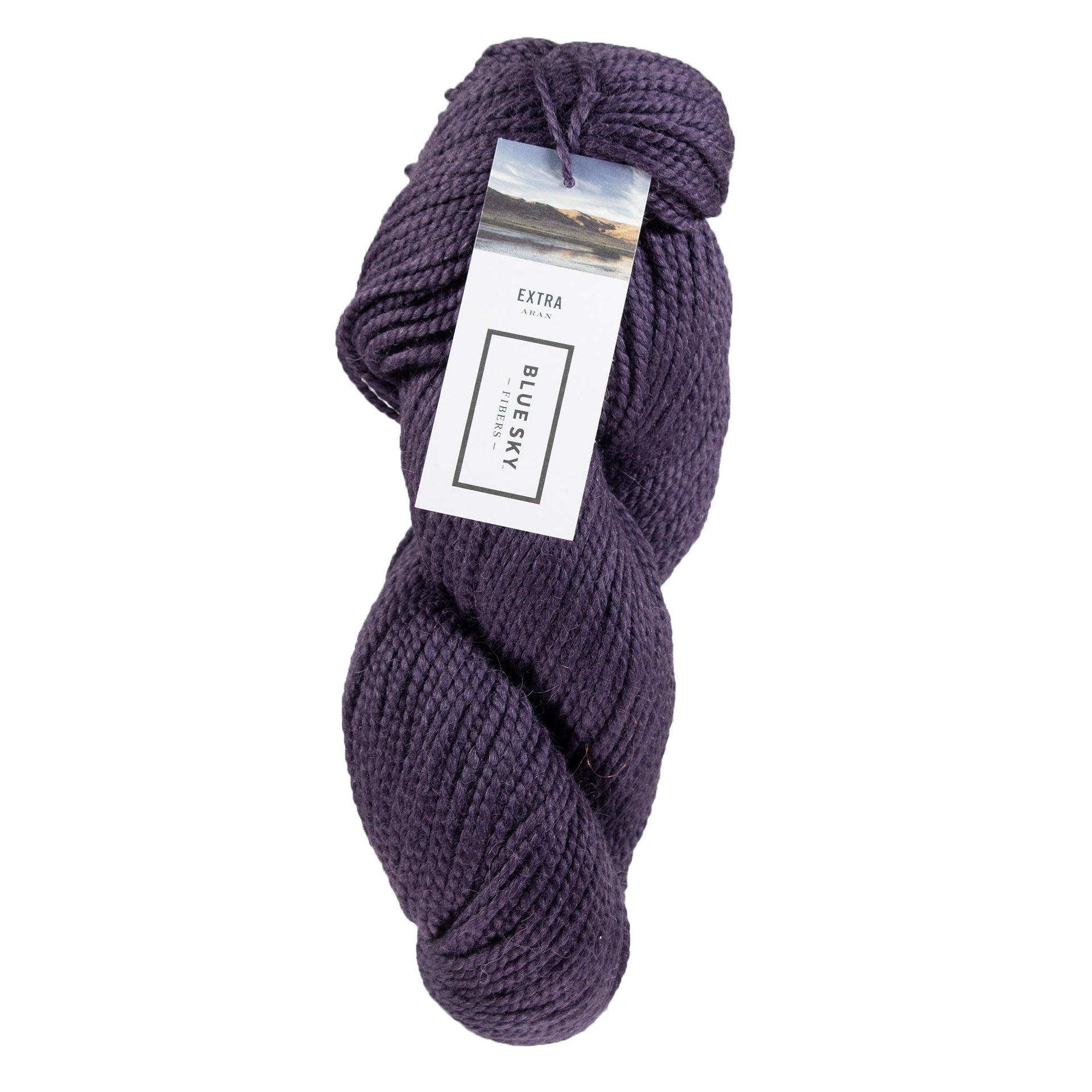 Blue Sky Fibers Extra Yarn - 3517 Nocturne - Zoom Image
