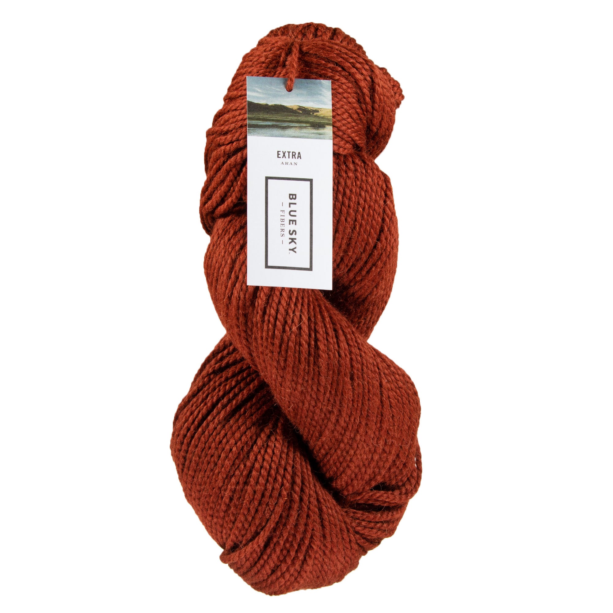 Blue Sky Fibers Extra Yarn - 3524 Canyon - Zoom Image
