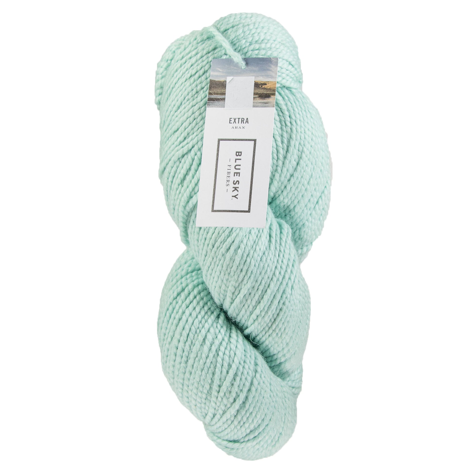 Blue Sky Fibers Extra Yarn - 3525 Mist - Zoom Image
