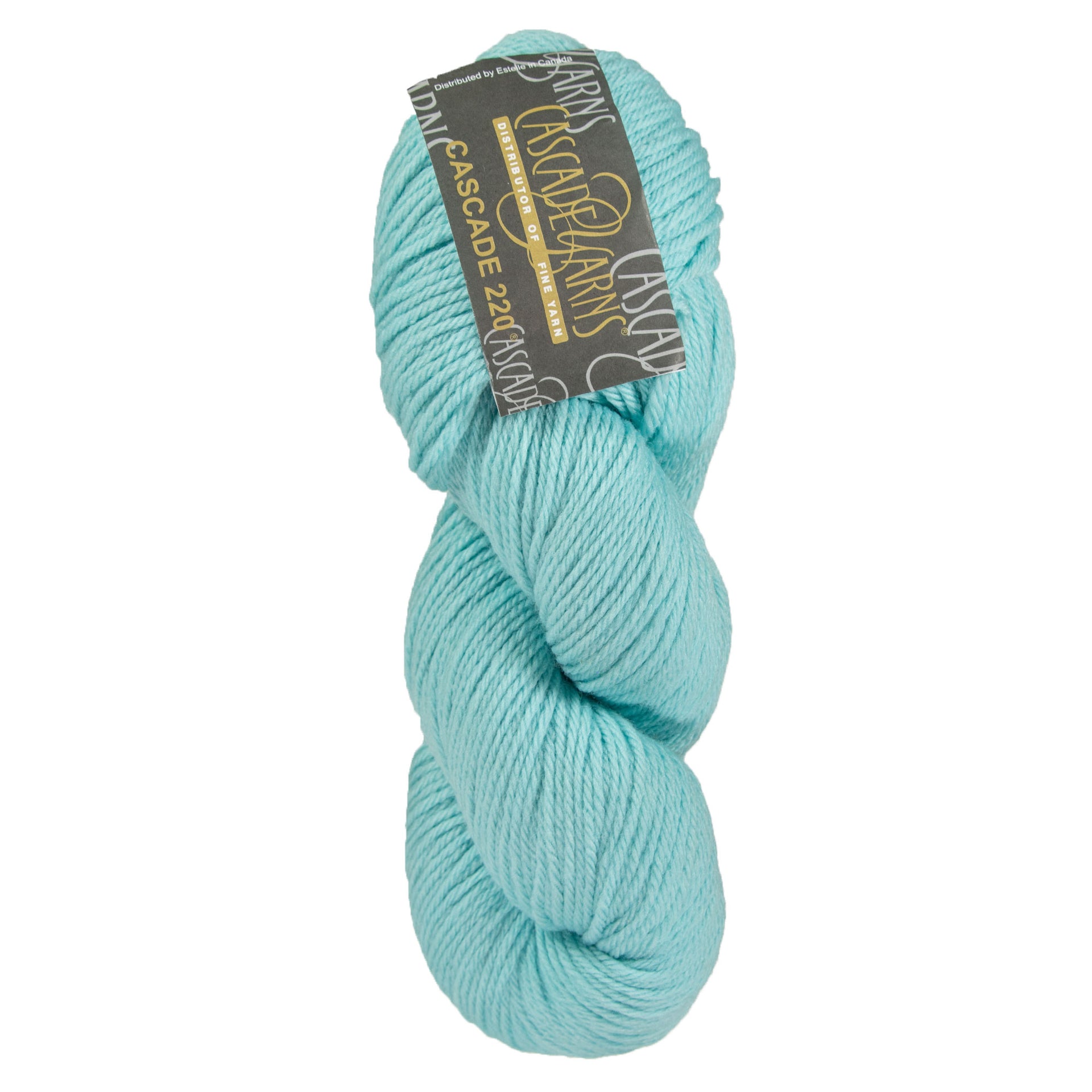 Cascade 220 Yarn - 9634 Aqua Haze - Zoom Image
