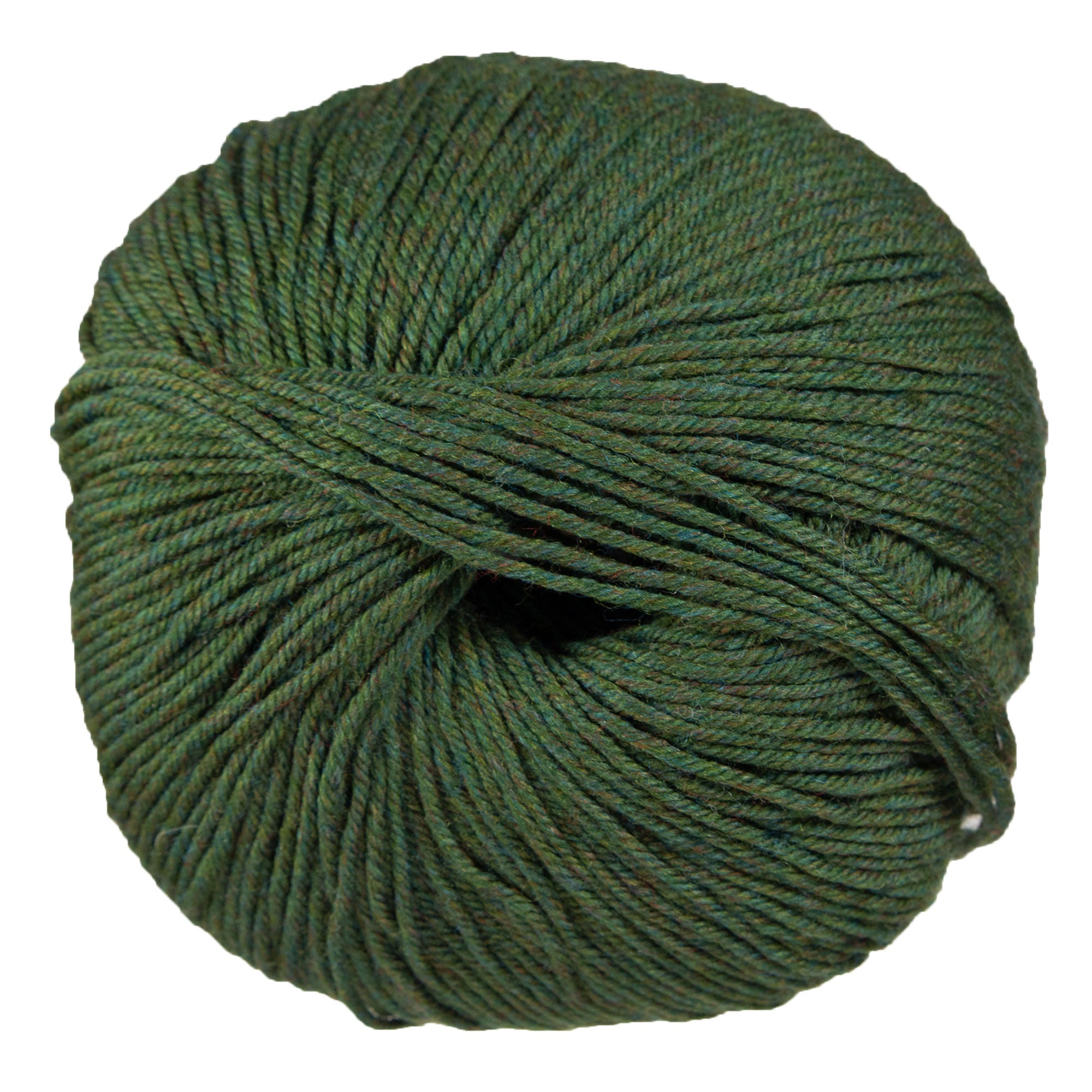 Cascade Yarns 220 Superwash Yarn - 0867 Lichen - Zoom Image