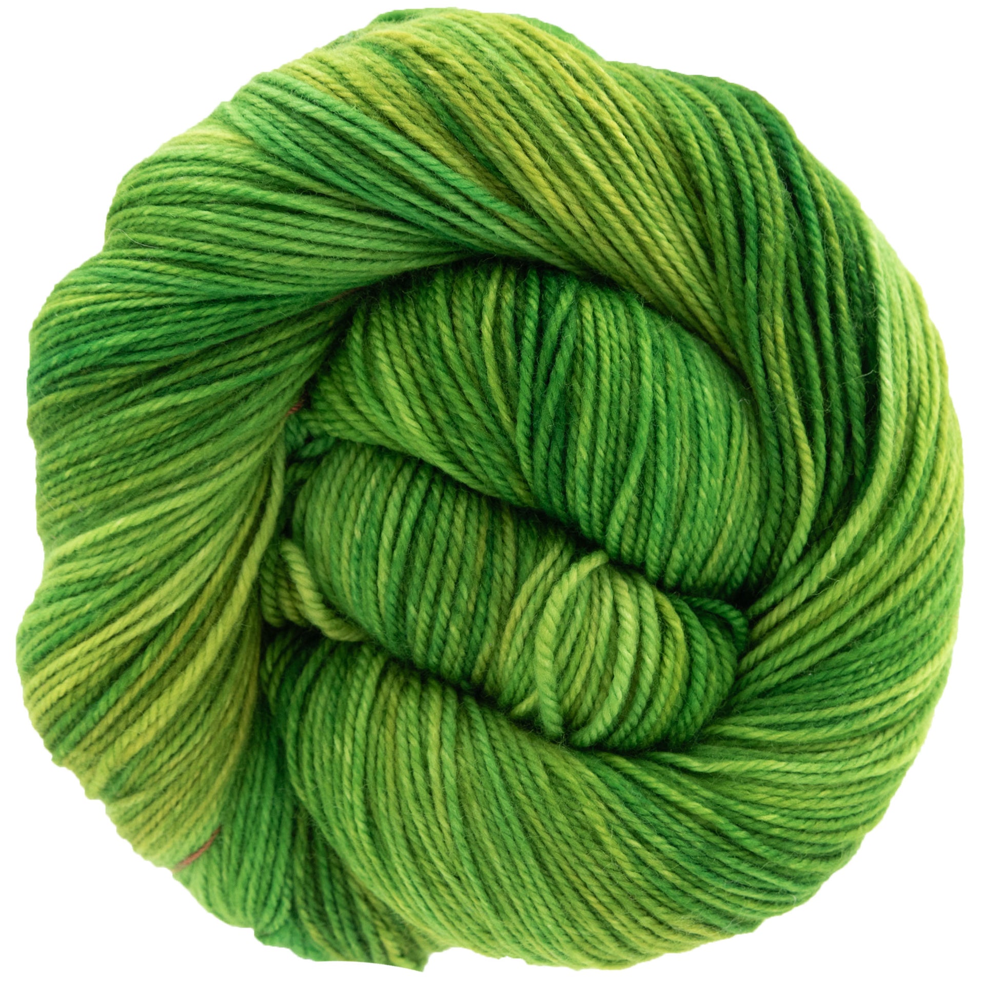 Dream in Color Smooshy Yarn - Tart - Zoom Image
