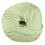 Cascade Yarns 220 Superwash Yarn - 0250 Laurel Green - Zoom Image