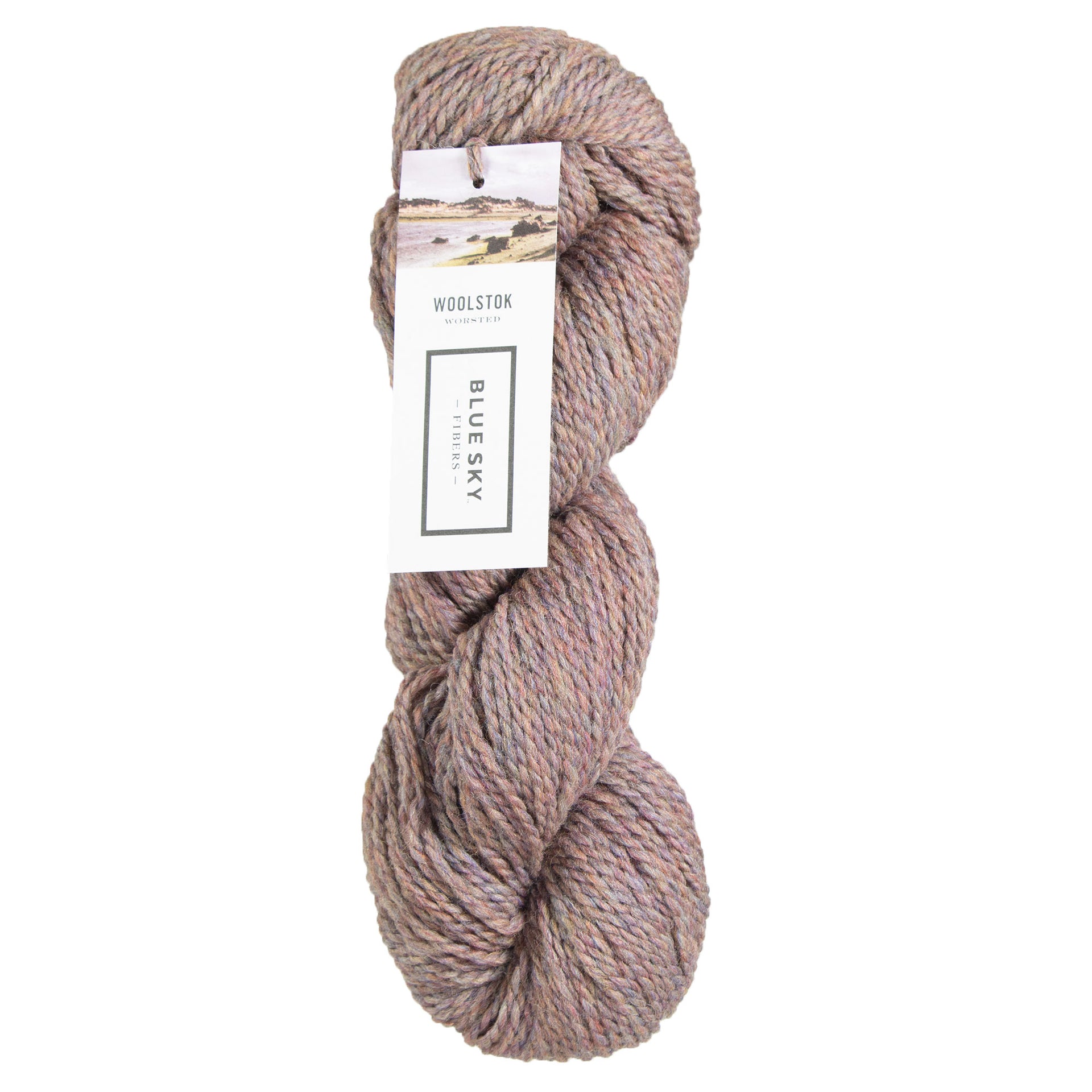 Blue Sky Fibers Woolstok Yarn - 1322 Northern Lights - Zoom Image
