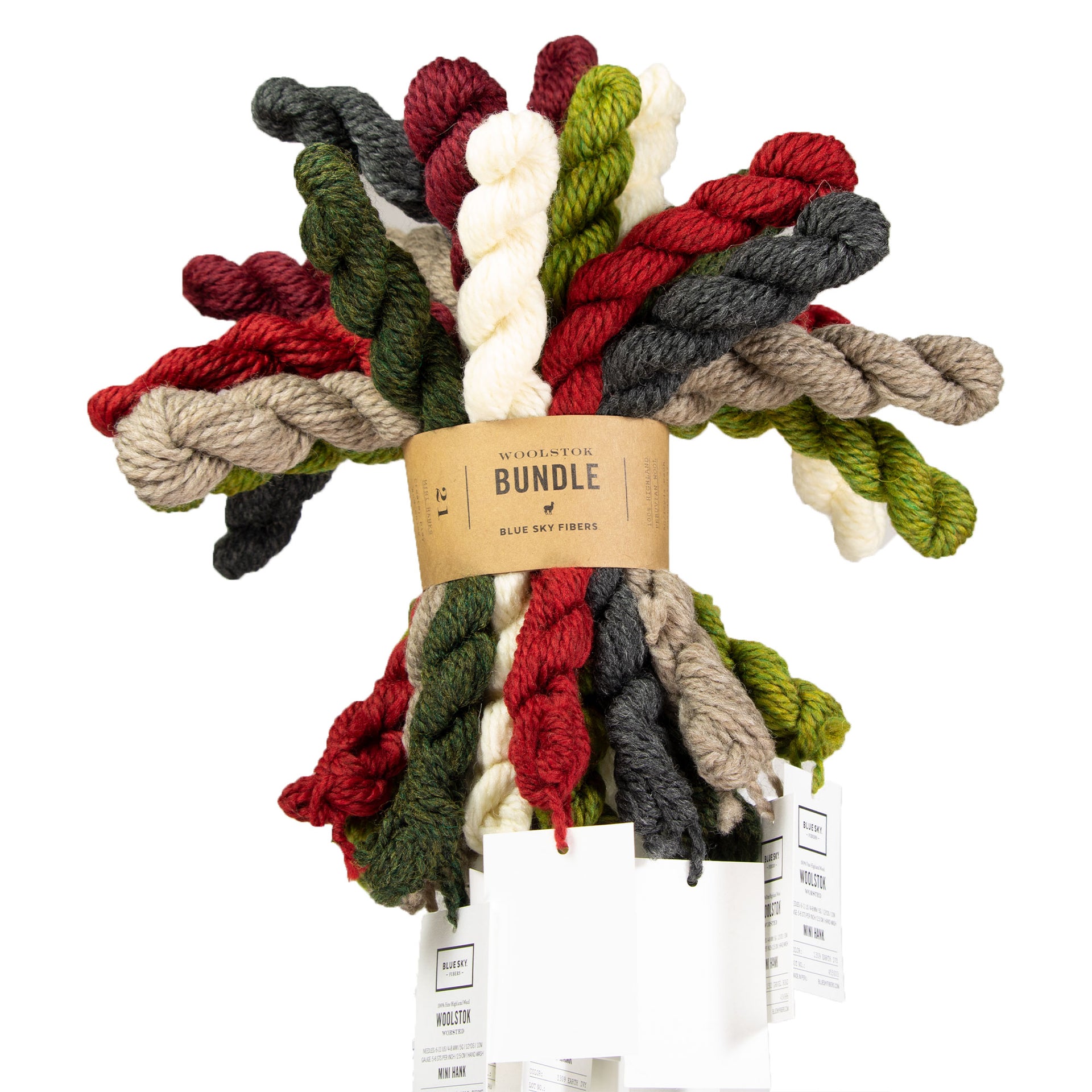 Blue Sky Fibers Woolstok Bundles Yarn - Holiday Cheer - Zoom Image
