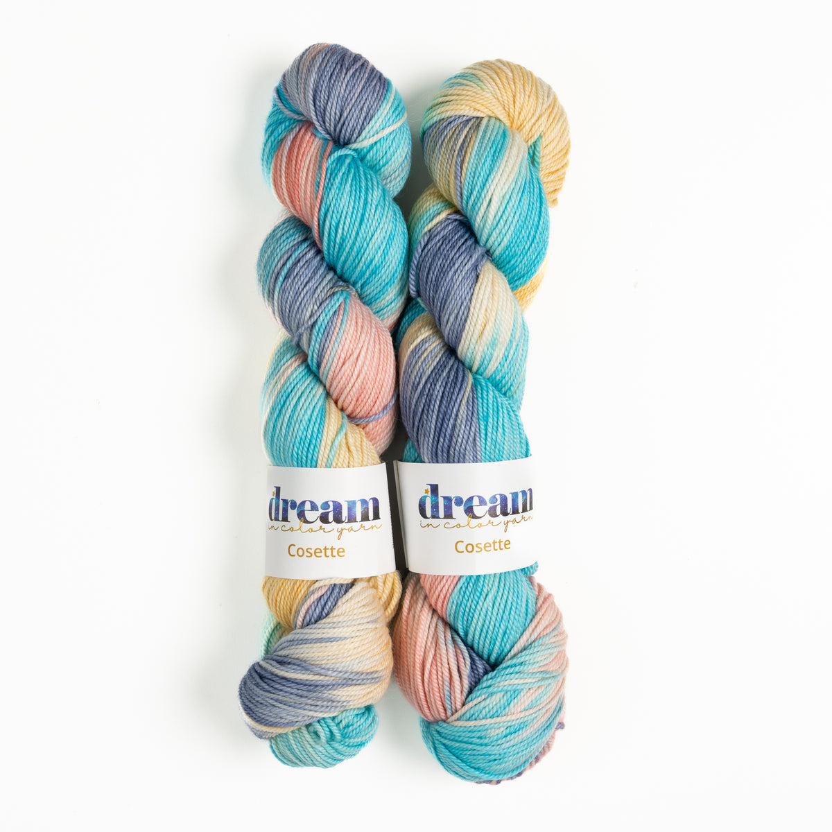 Dream in Color Cosette Yarn - Shopkeeper's Choice
