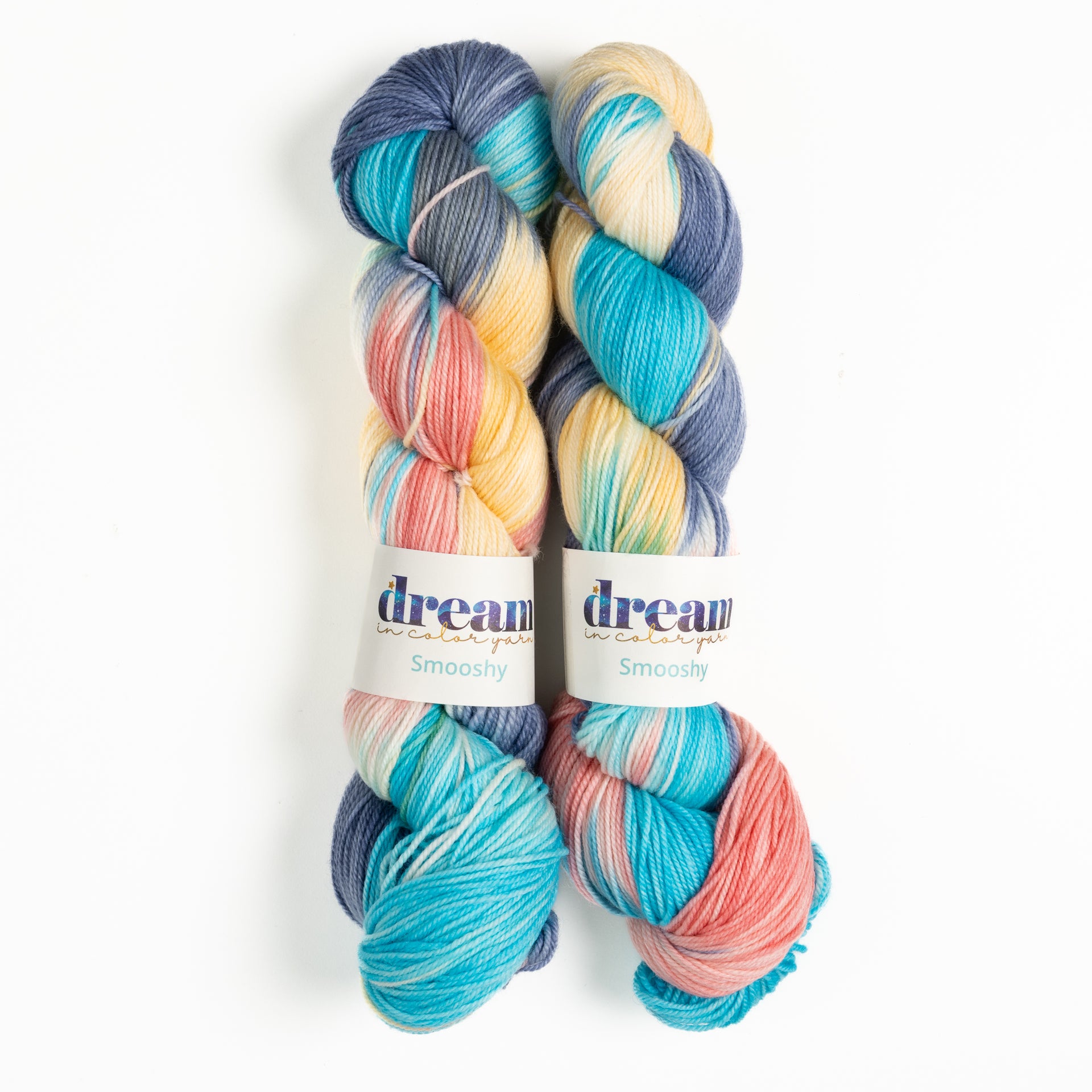 Dream in Color Smooshy Yarn - Shopkeeper's Choice

