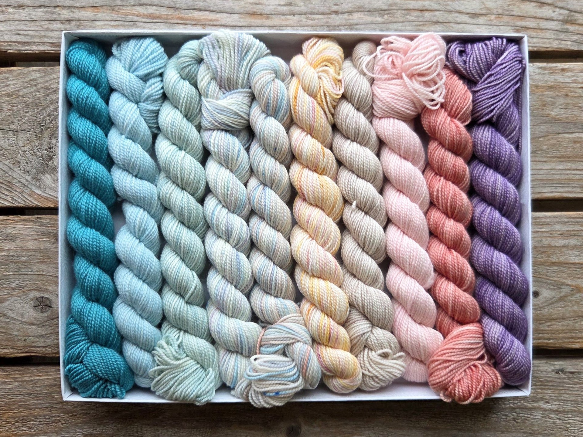 Koigu Pencil Box Yarn - Bridgerton Collection - Daphne
