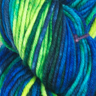 Gusto Wool Echoes Aran Yarn - 5504