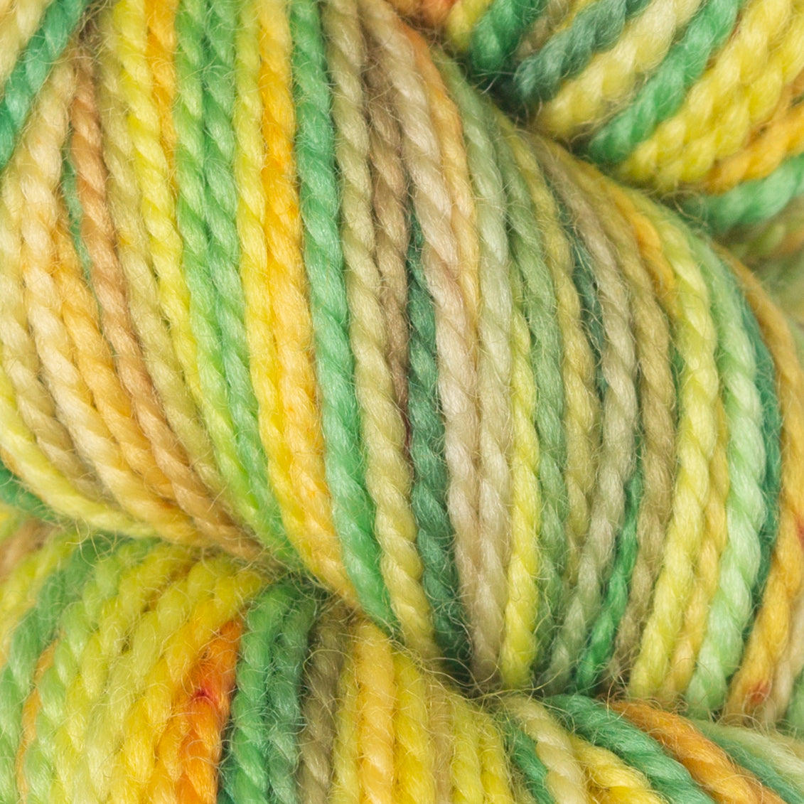 Koigu KPPPM Yarn - '25 July Collector - Buttercup Picnic
