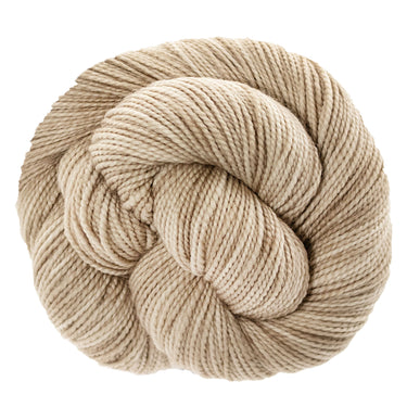 Koigu KPM Solid Yarn - 5321