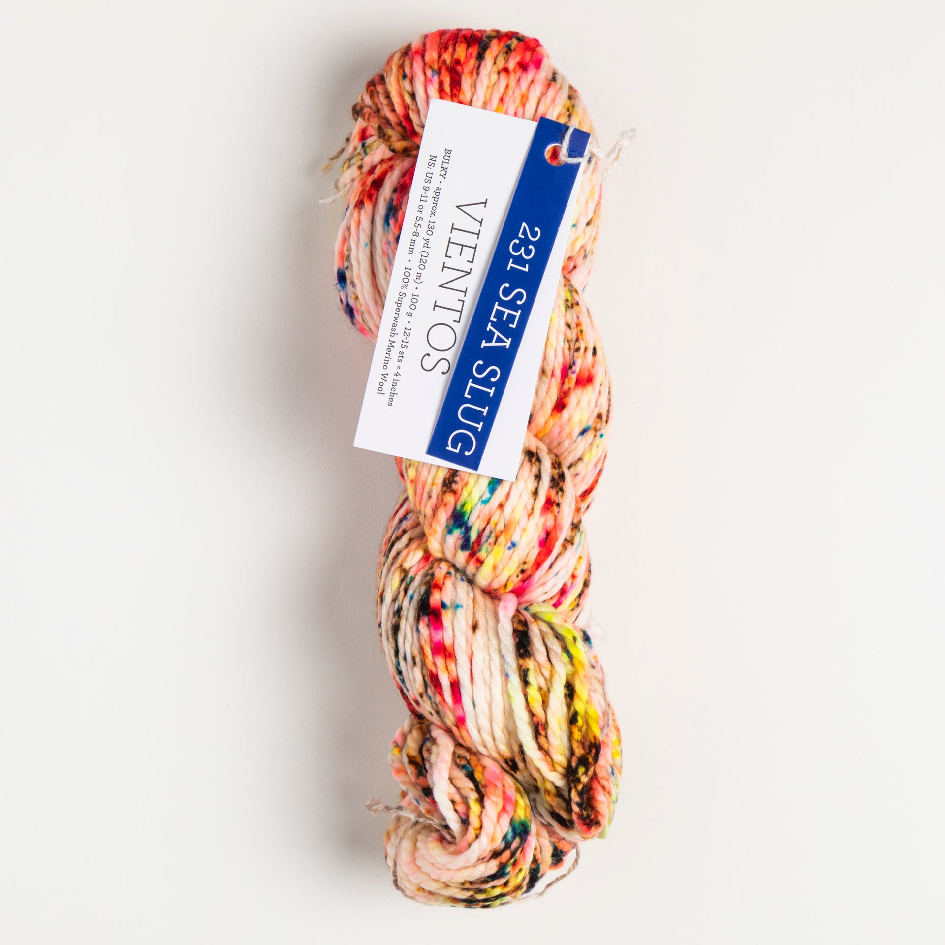 Malabrigo Vientos Yarn - 231 Sea Slug
